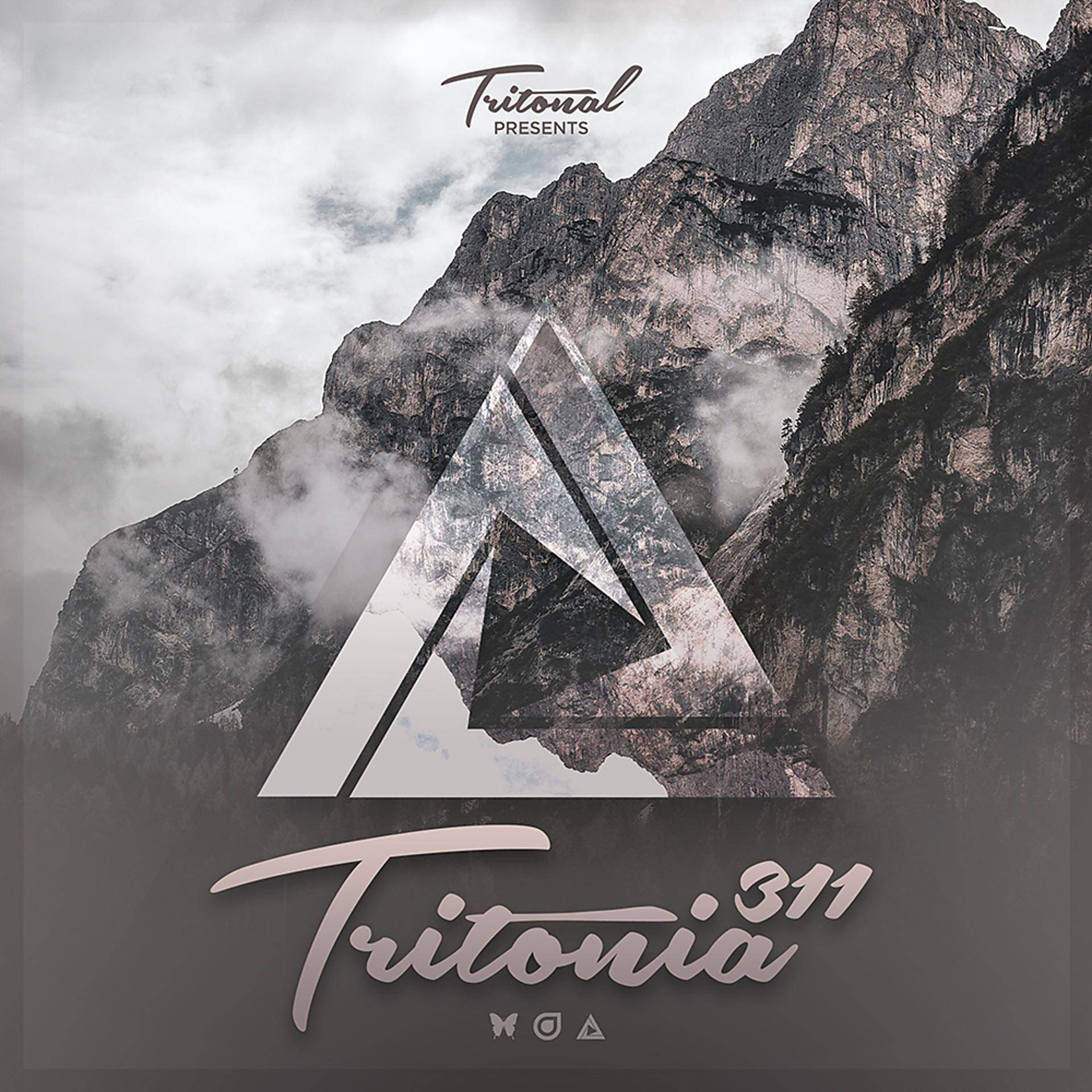 Постер альбома Tritonia 311