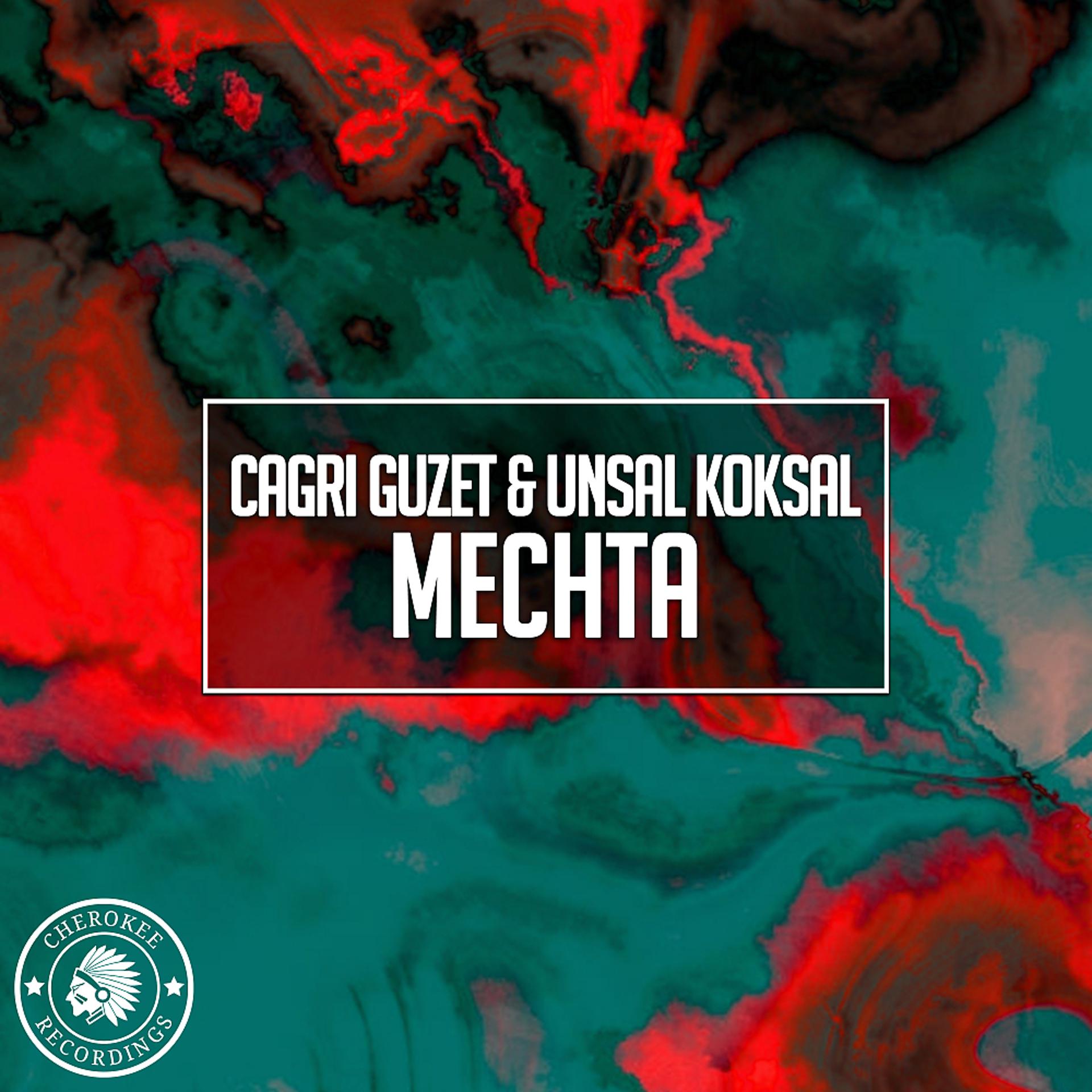 Постер альбома Mechta