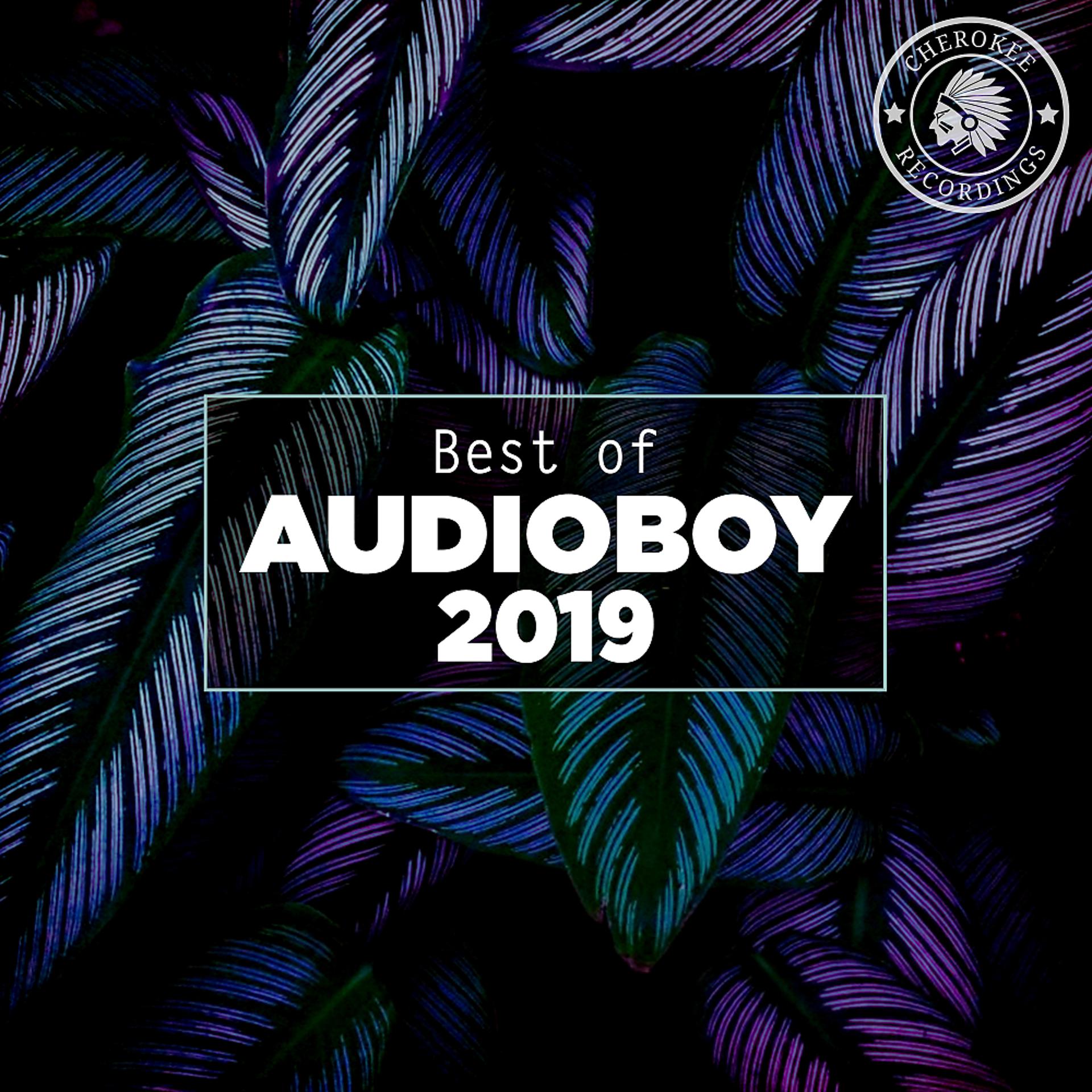Постер альбома Best of Audioboy 2019