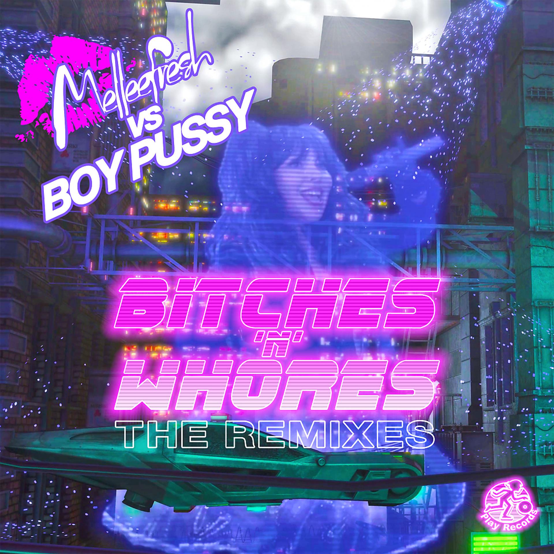 Постер альбома Bitches 'n' Whores: The Remixes