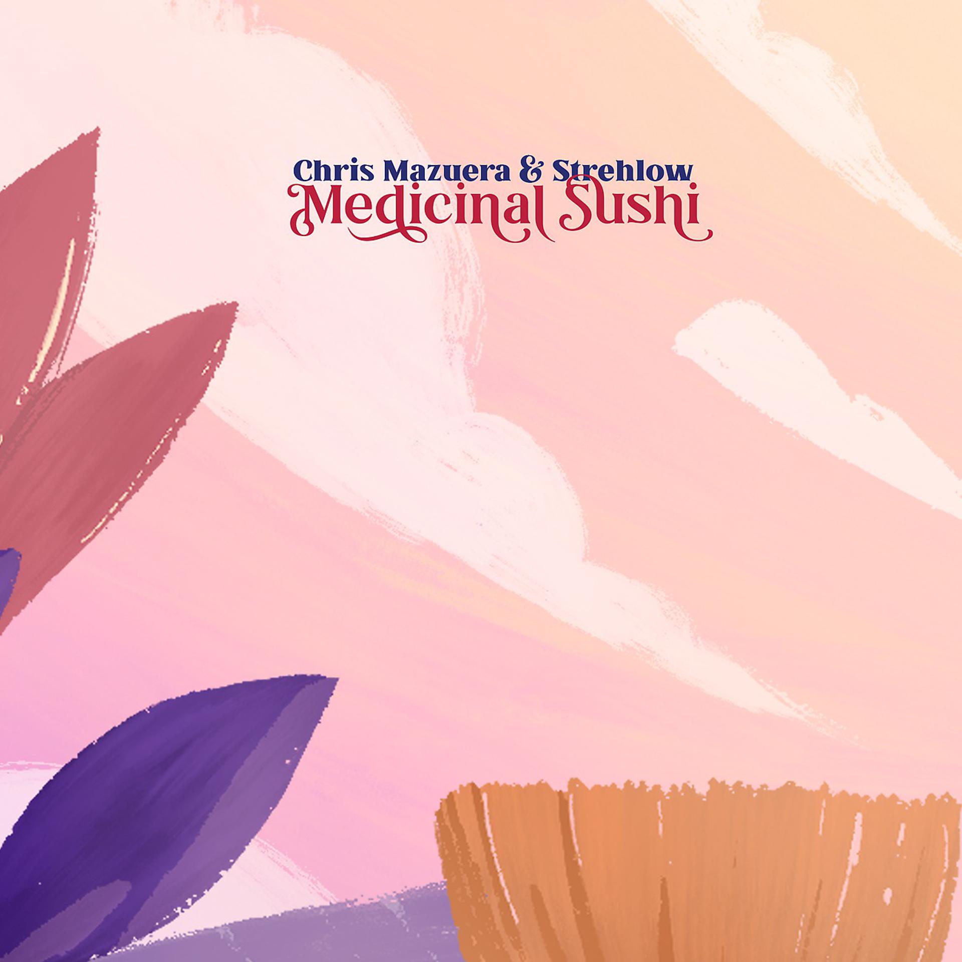 Постер альбома Medicinal Sushi