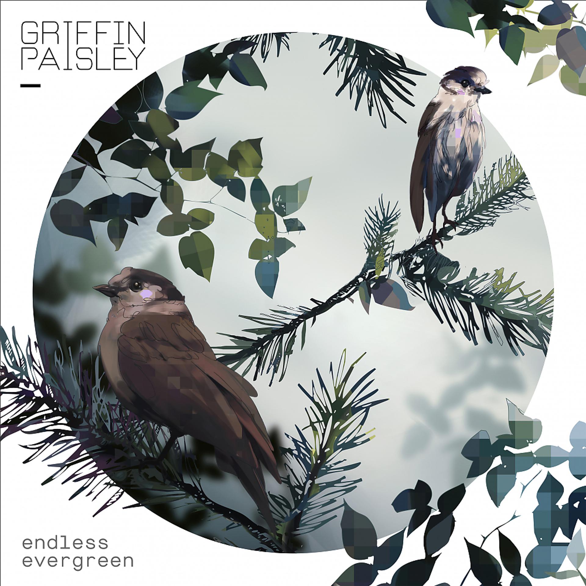 Постер альбома Endless Evergreen