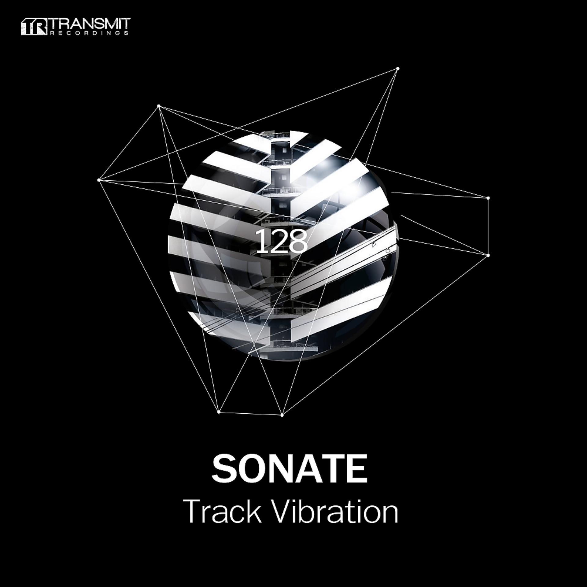 Постер альбома Track Vibration