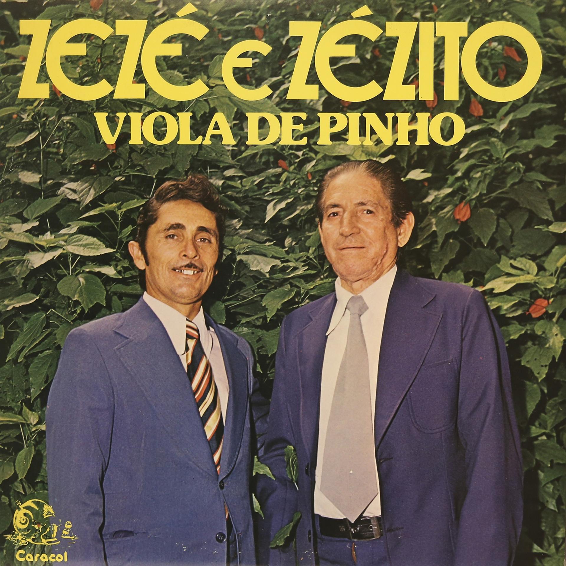Постер альбома Viola de Pinho