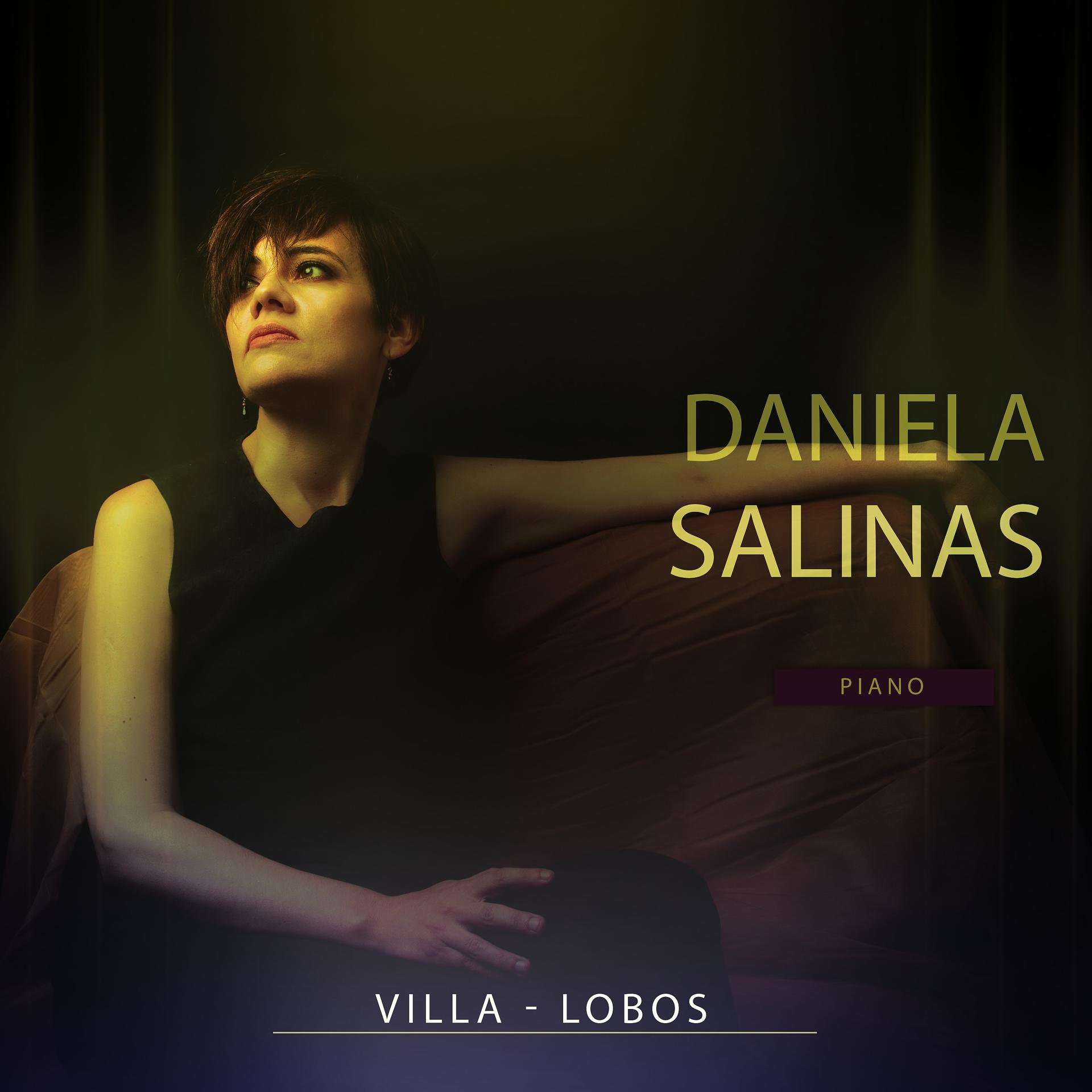 Постер альбома Villa-Lobos