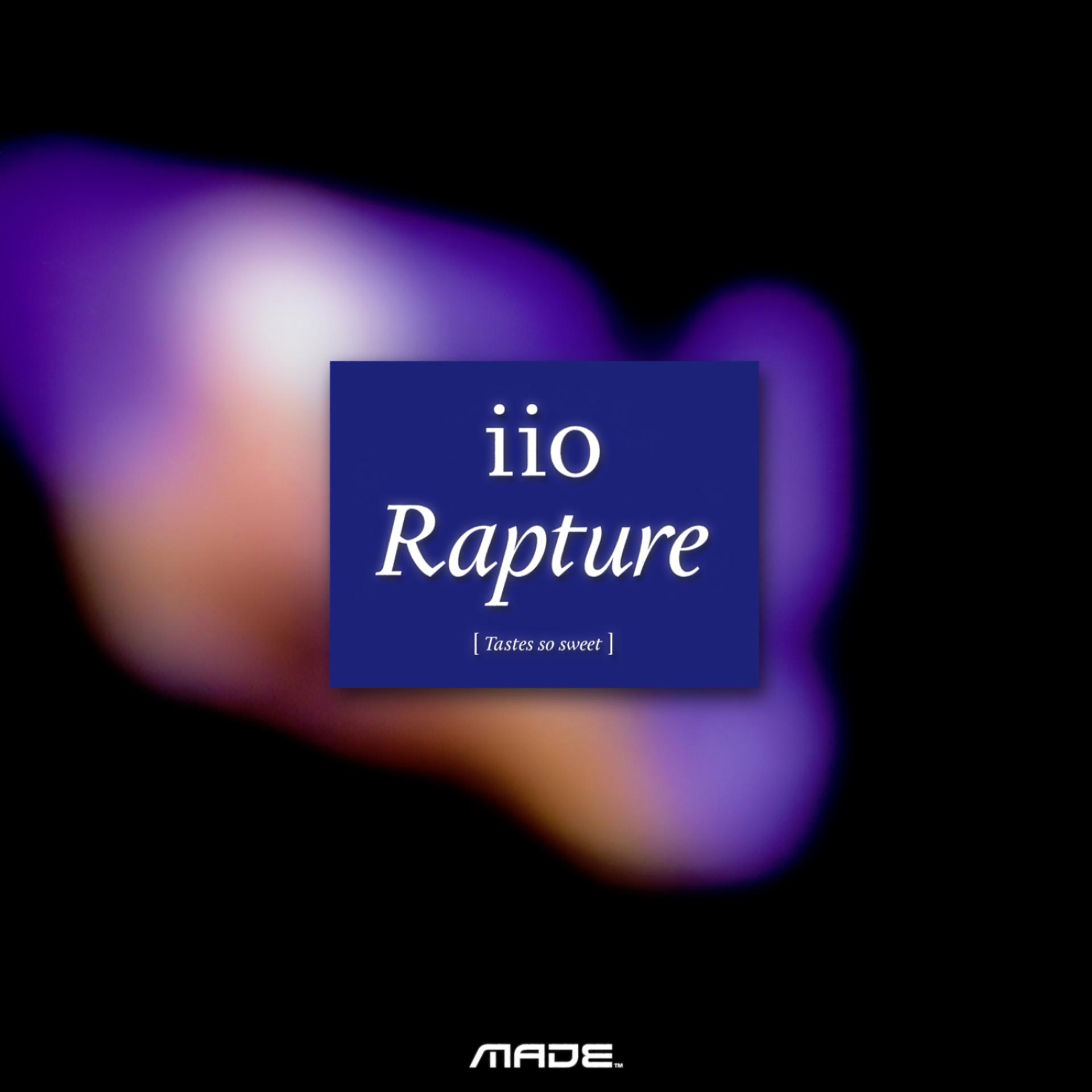 Постер альбома Rapture (Treasure Chest Package) [feat. Nadia Ali]