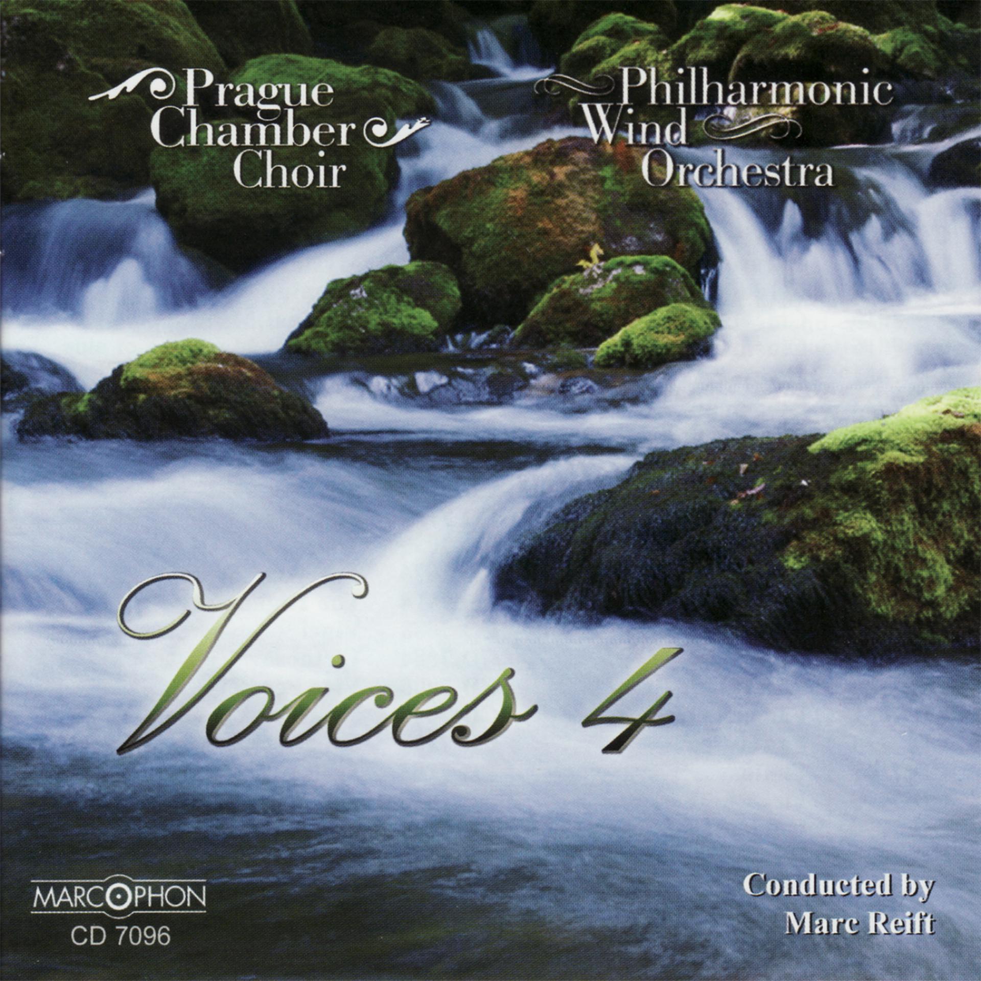 Постер альбома Voices 4