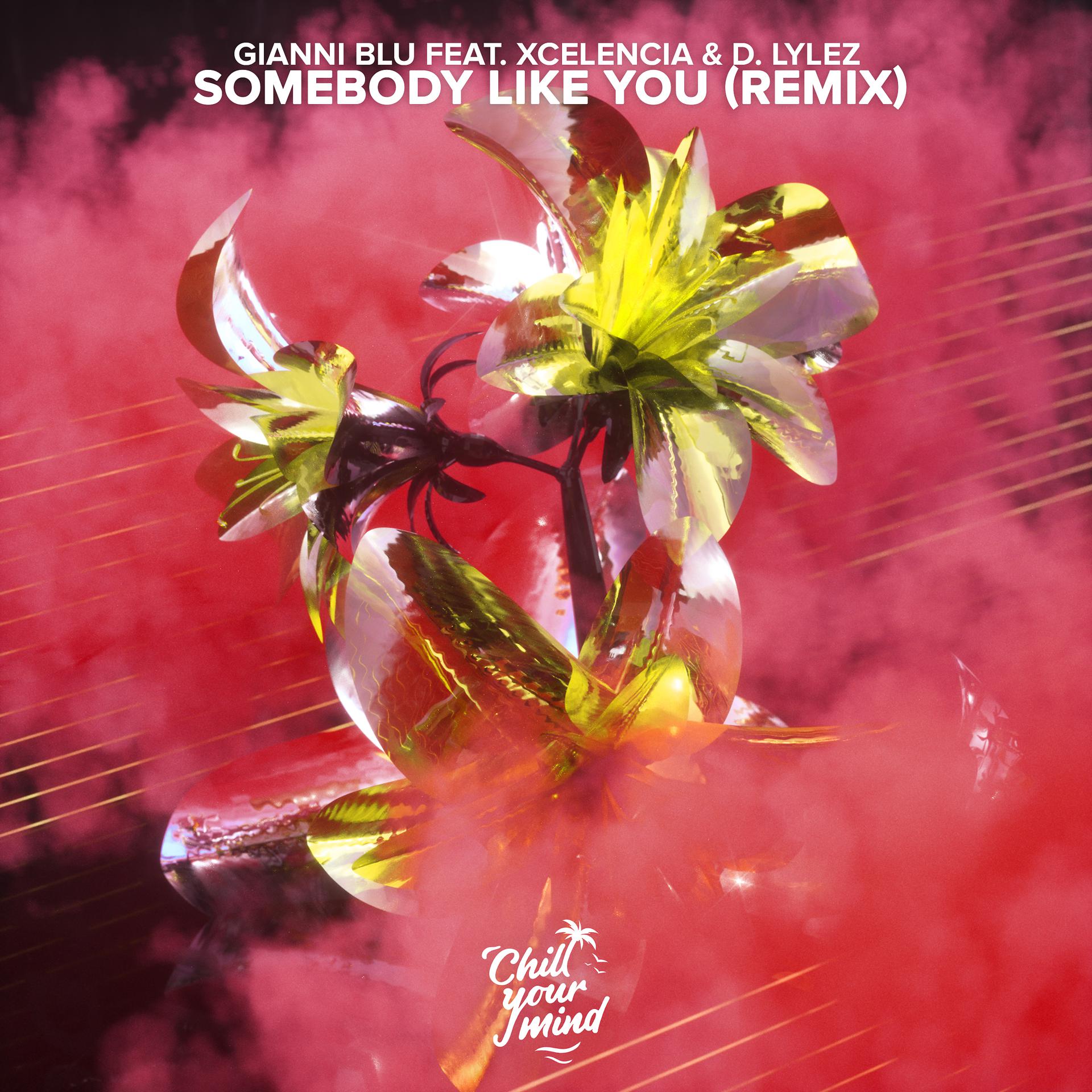 Постер альбома Somebody Like You (Remix)