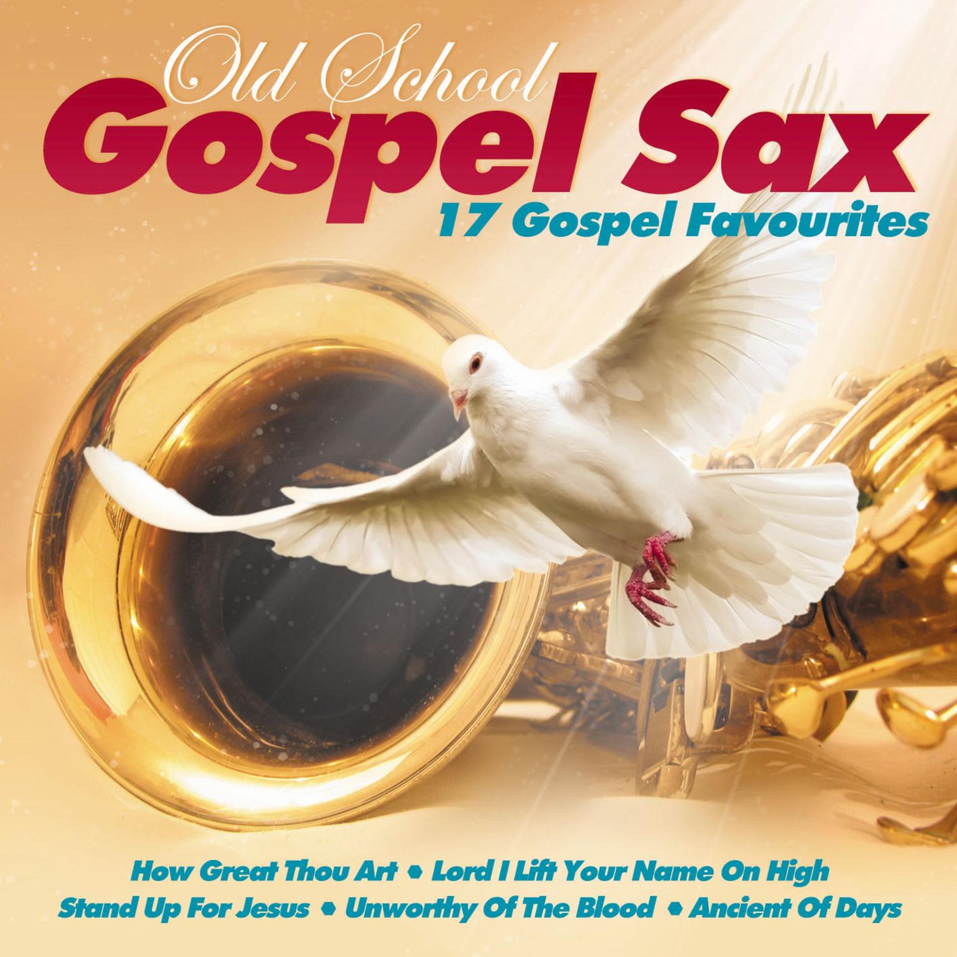 Постер альбома 17 Gospel Favourites