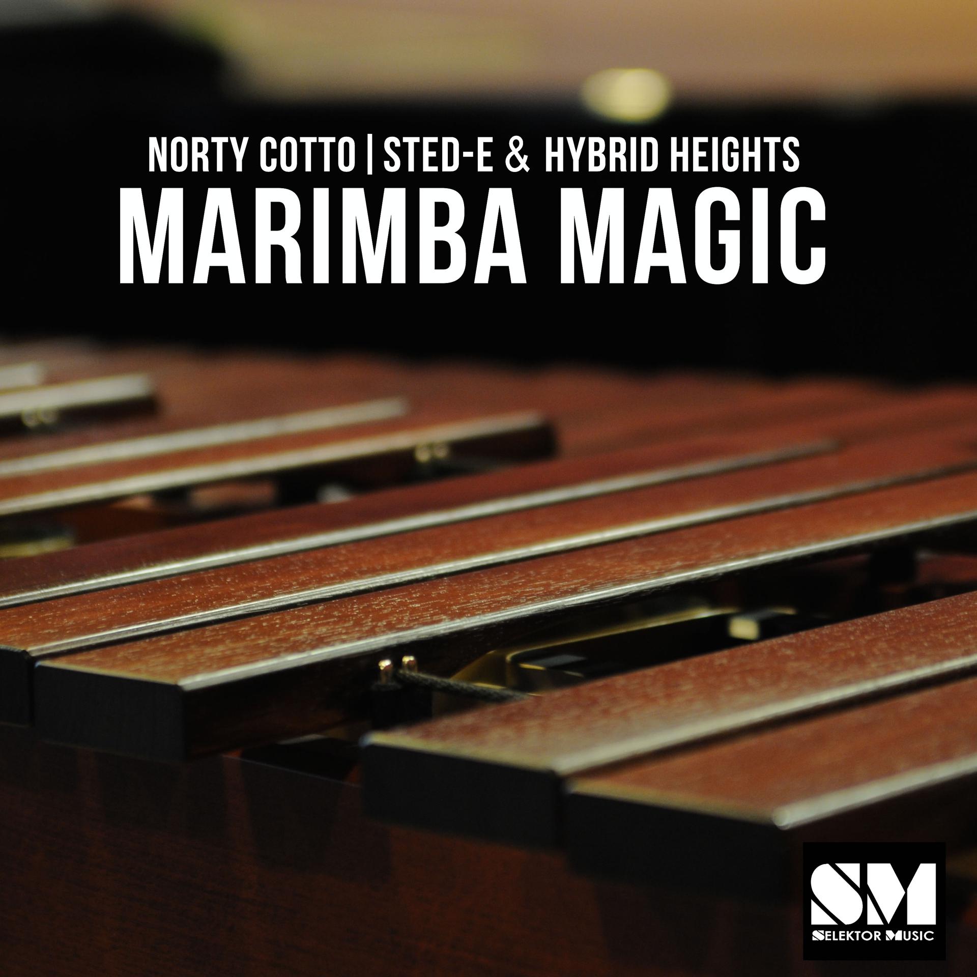 Постер альбома Marimba Magic