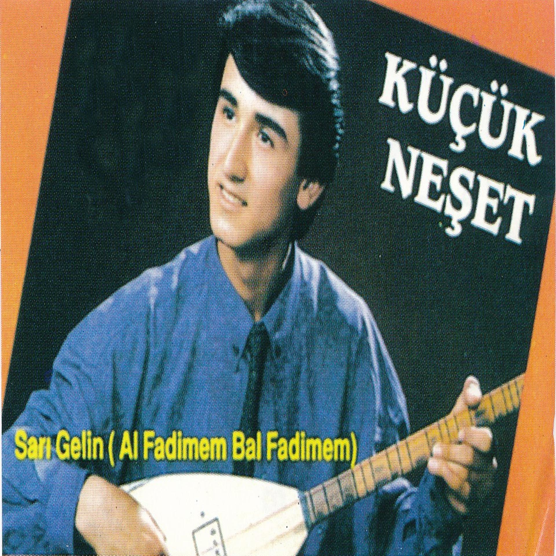 Постер альбома Sarı Gelin / Al Fadimem Bal Fadimem