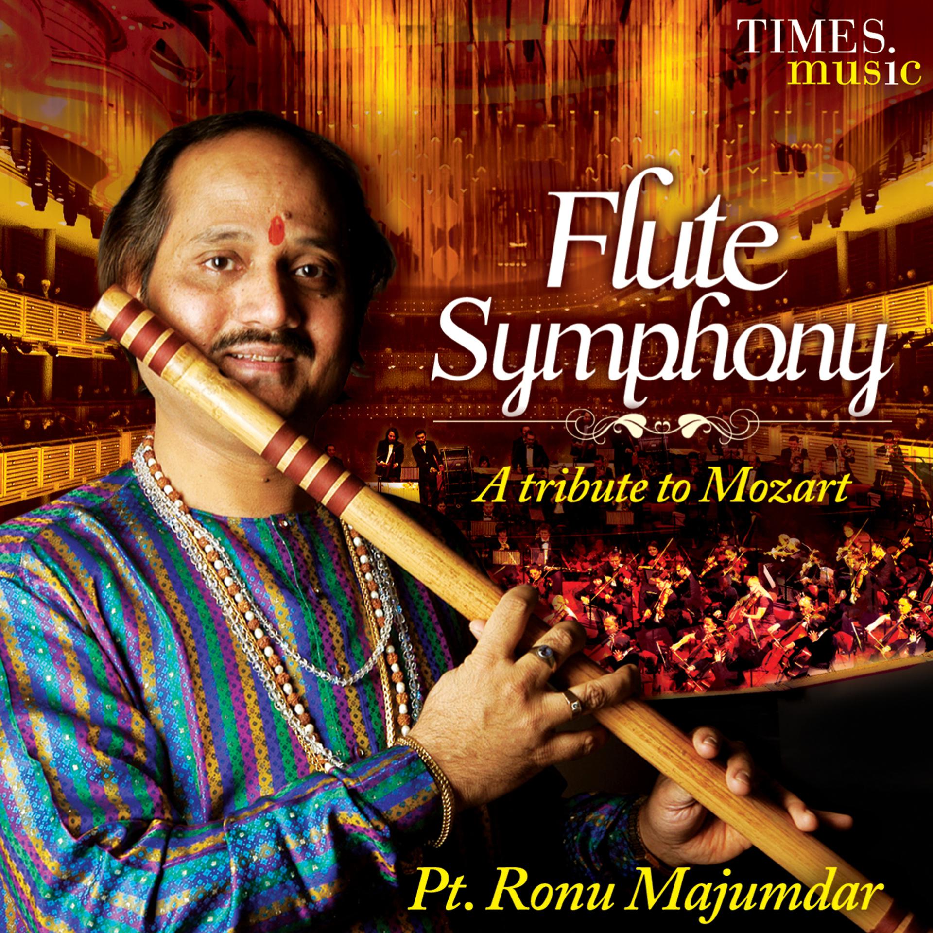 Постер альбома Flute Symphony