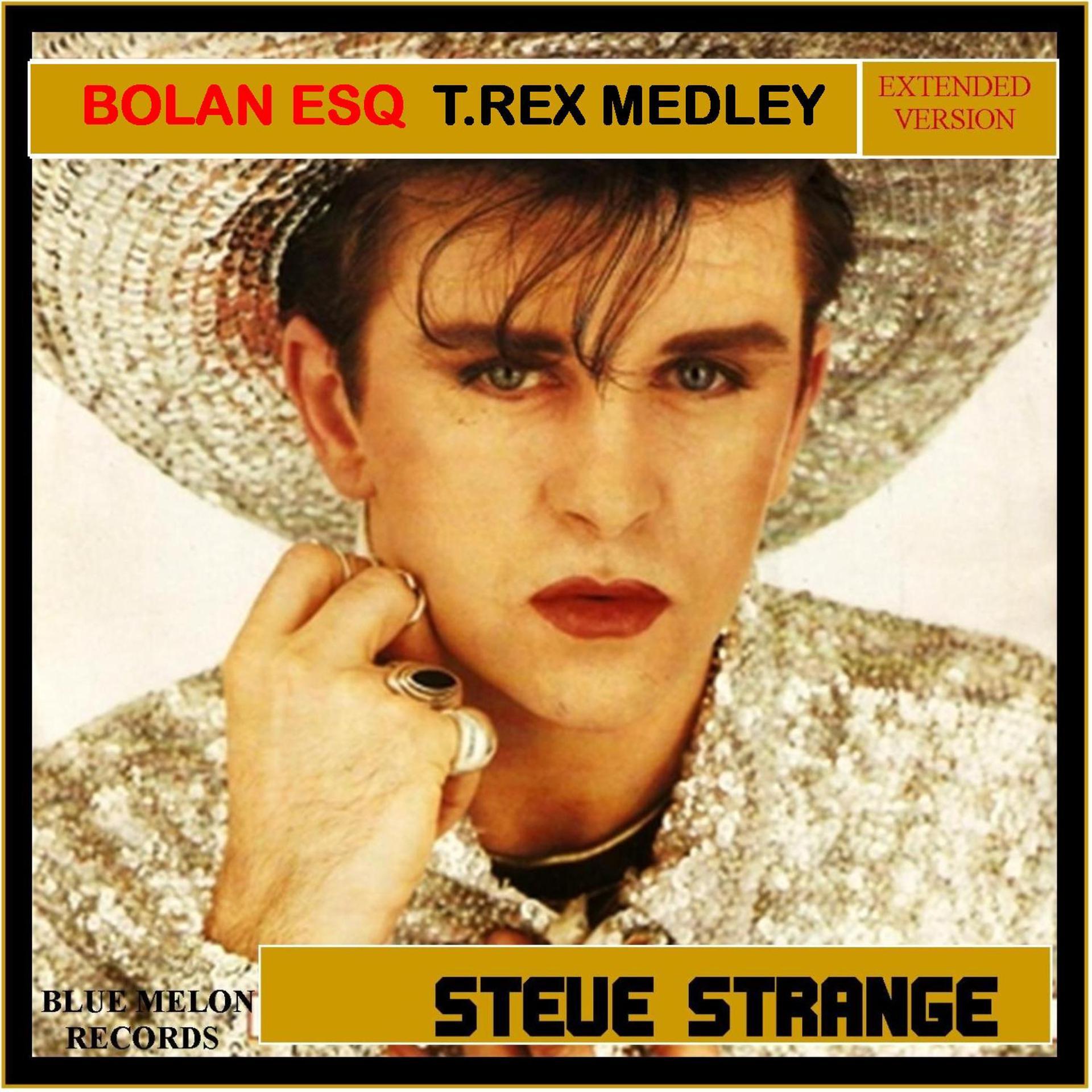 Постер альбома Bolan Esq T.Rex Medley