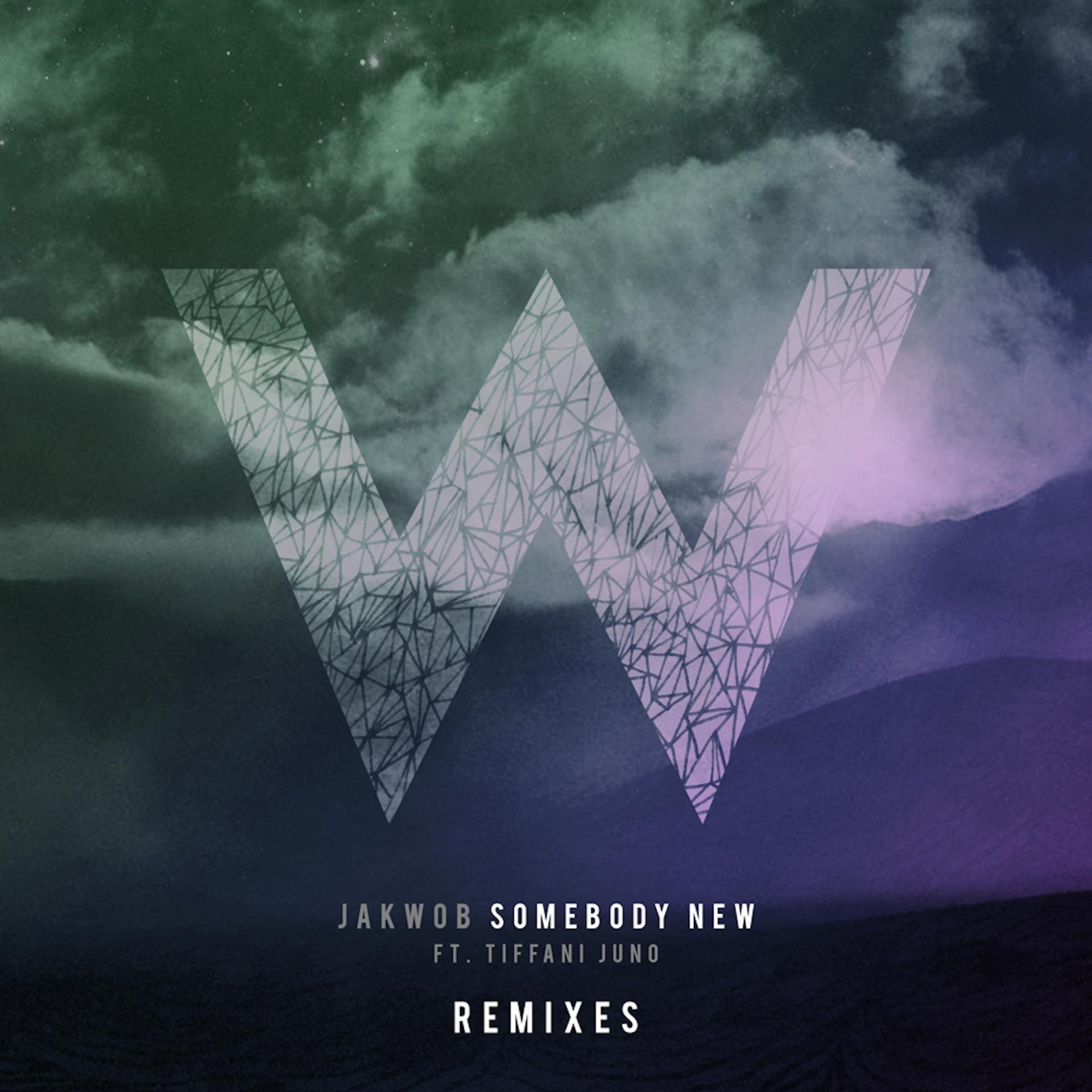 Постер альбома Somebody New - Remixes