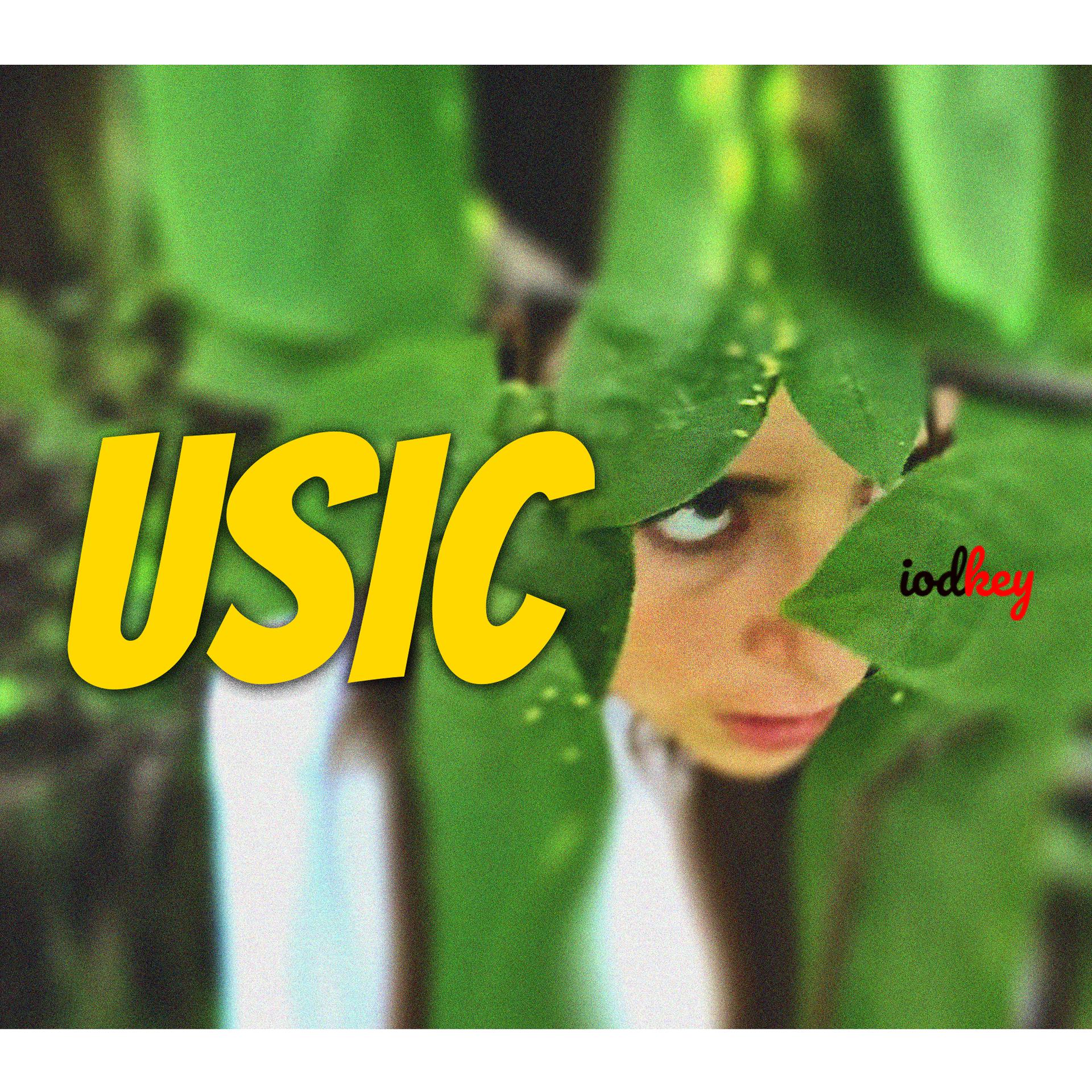 Постер альбома Usic