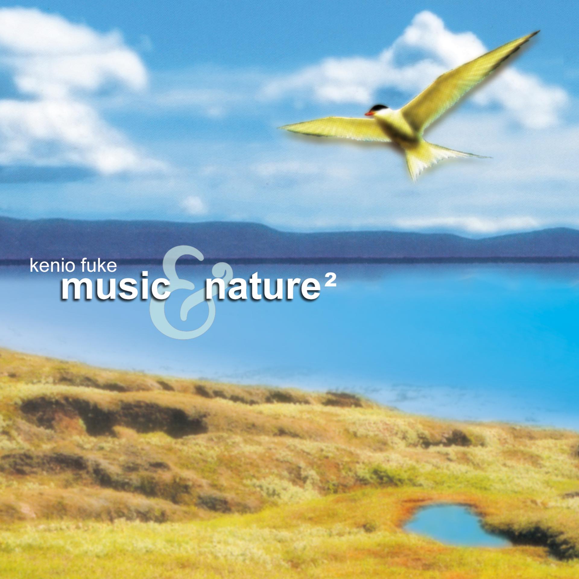 Постер альбома Music & Nature 2