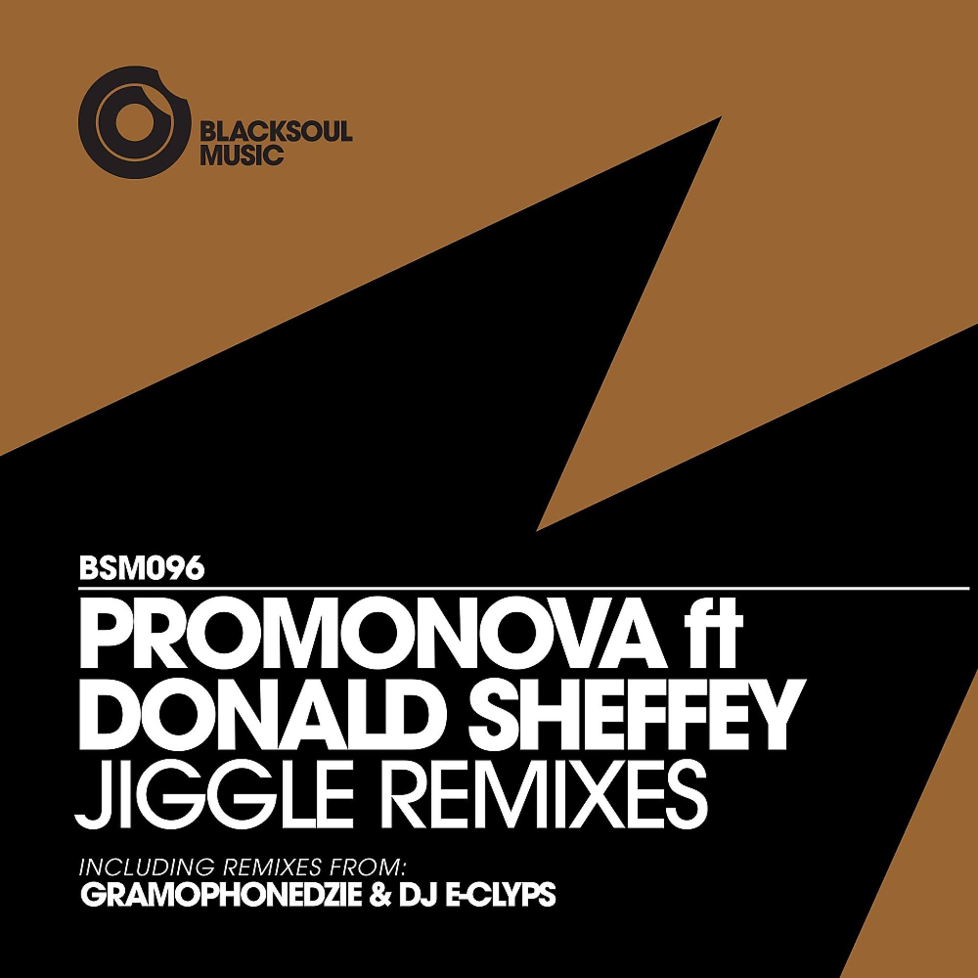 Постер альбома Jiggle Remixes
