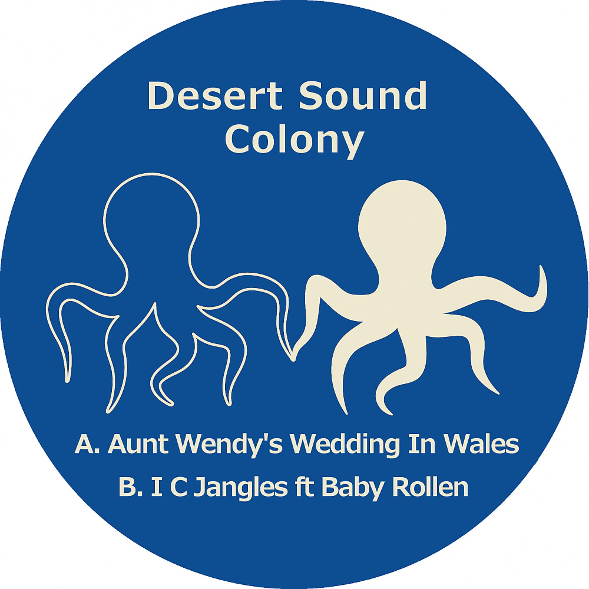 Постер альбома Aunt Wendy's Wedding In Wales / I C Jangles