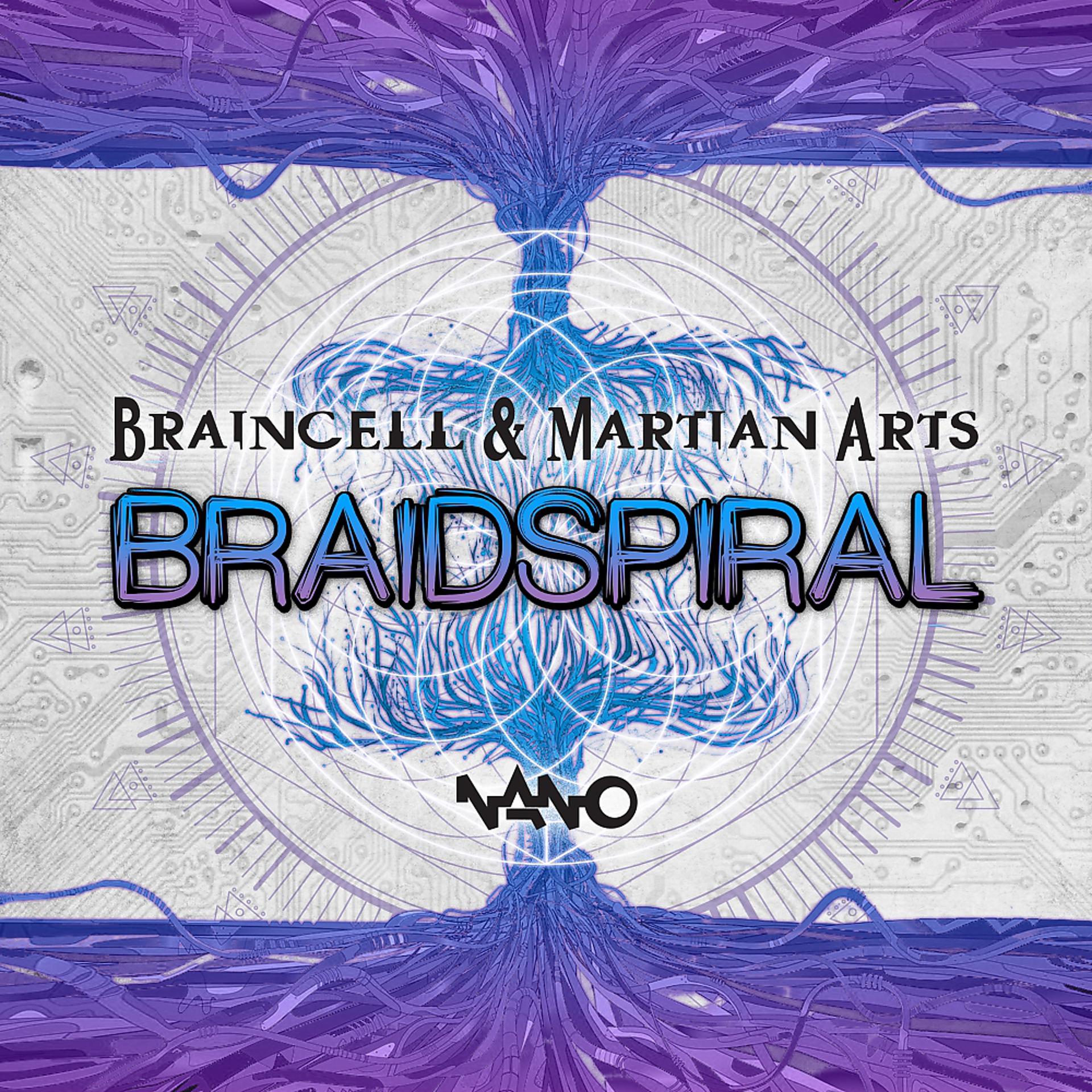 Постер альбома Braidspiral