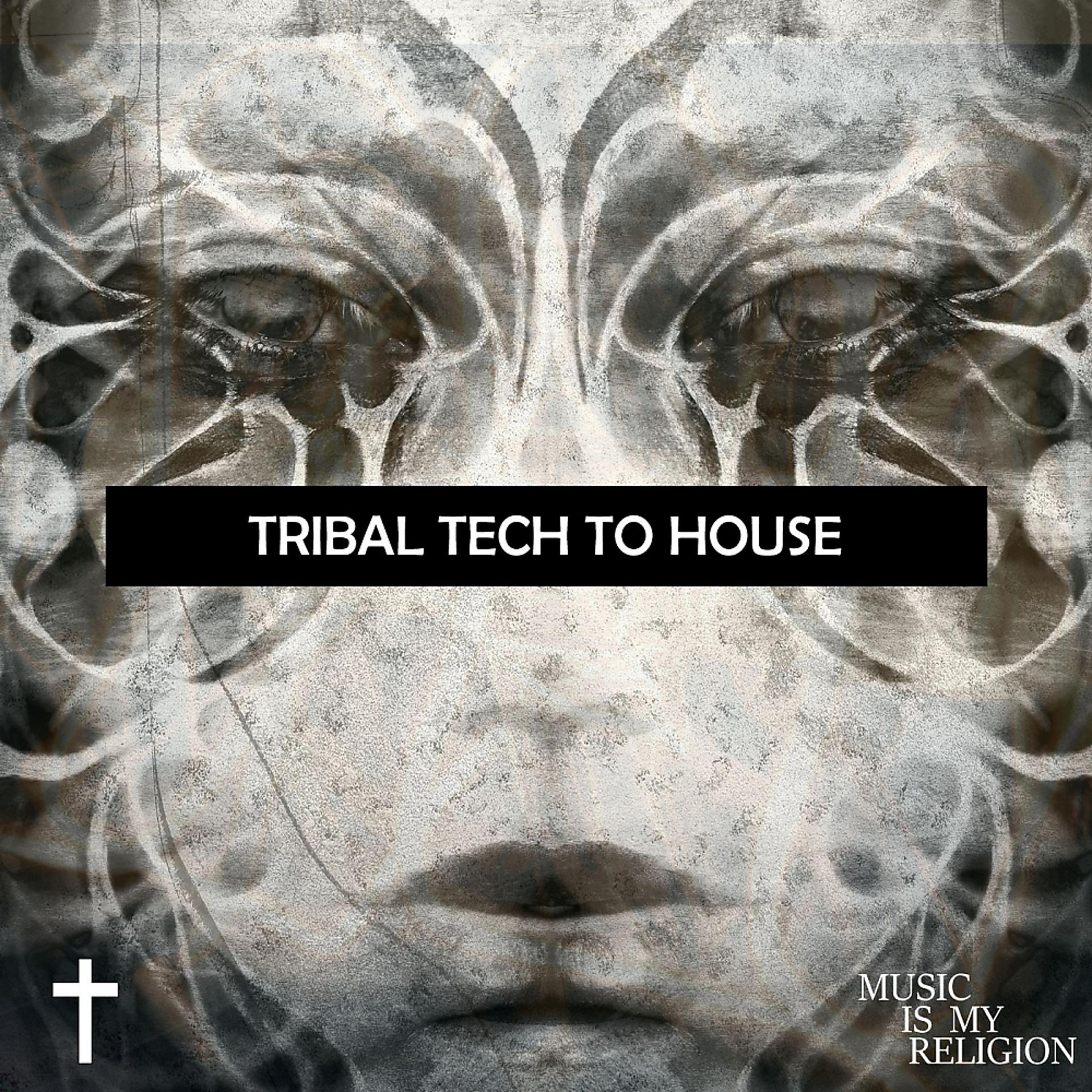 Постер альбома Tribal Tech To House
