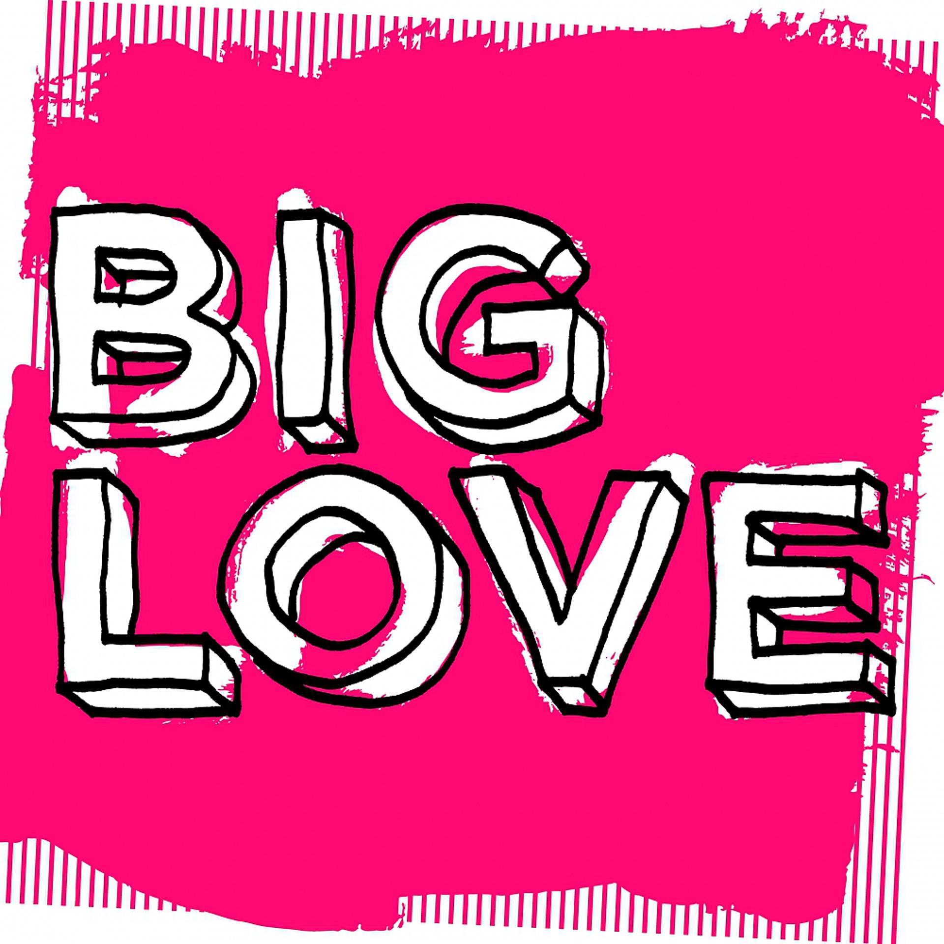 Постер альбома Big Love, Vol. 2: Mixed by Seamus Haji