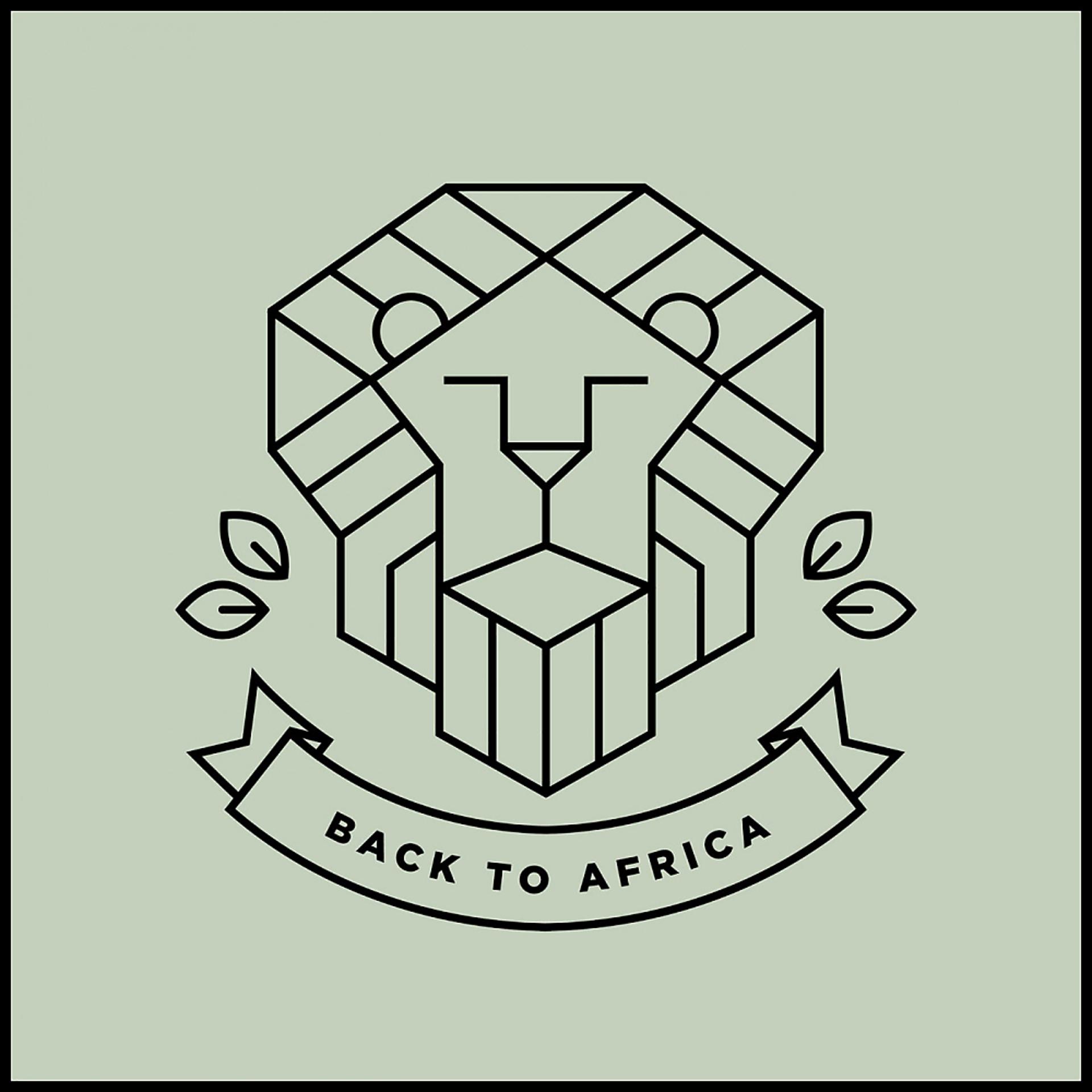 Постер альбома Back To Africa