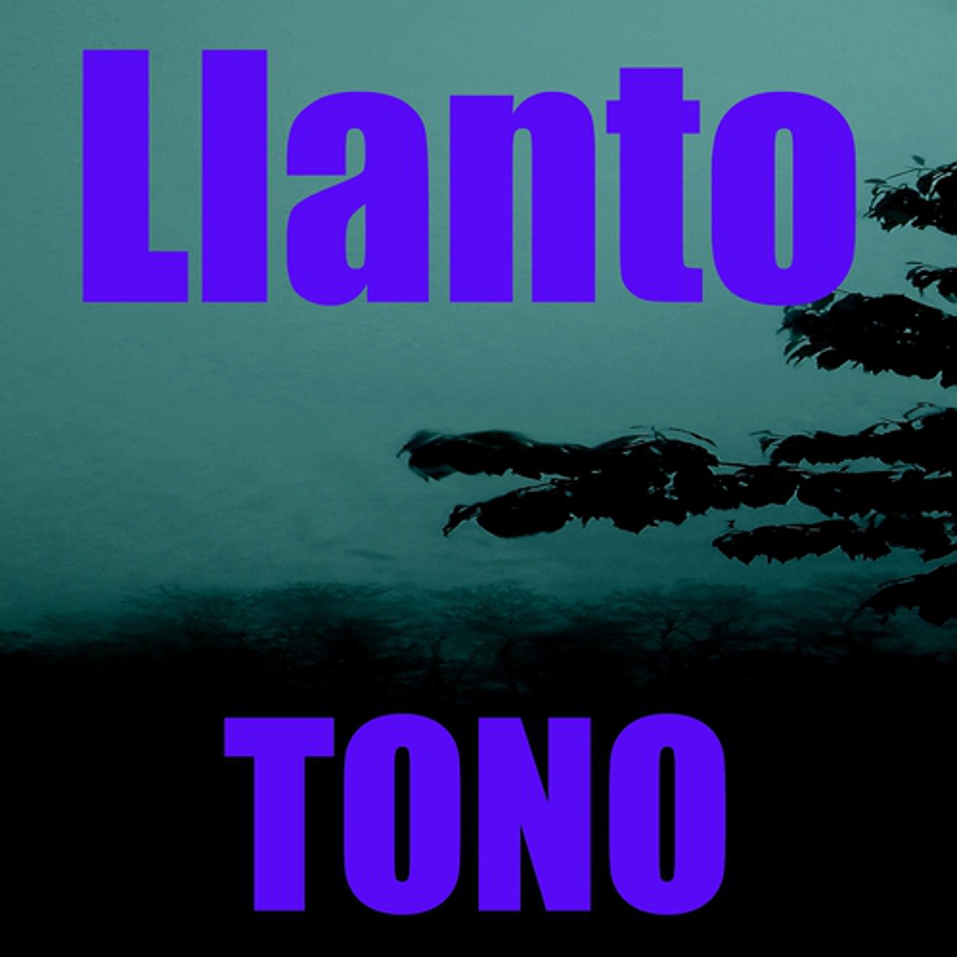 Постер альбома Tono Llanto