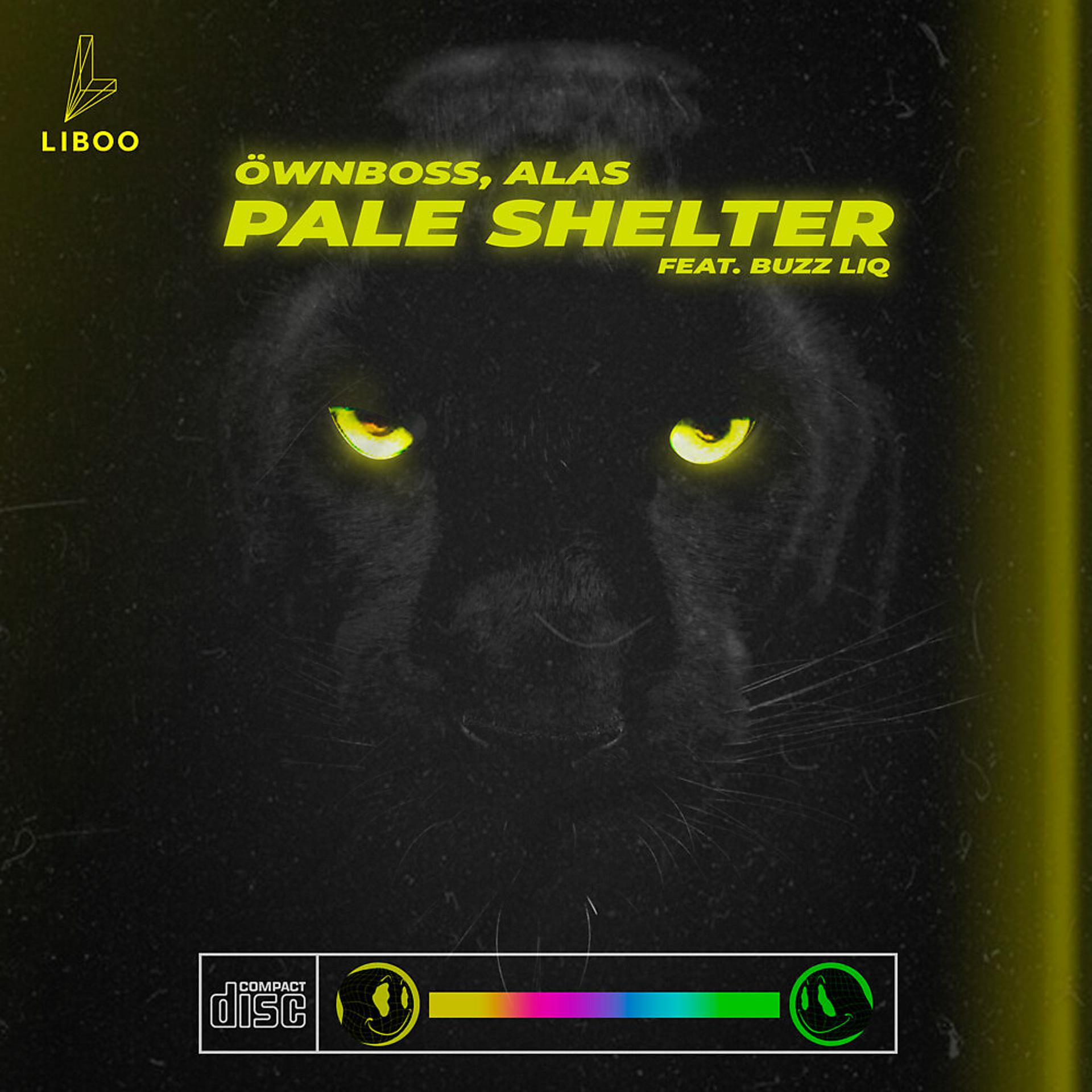 Постер альбома Pale Shelter