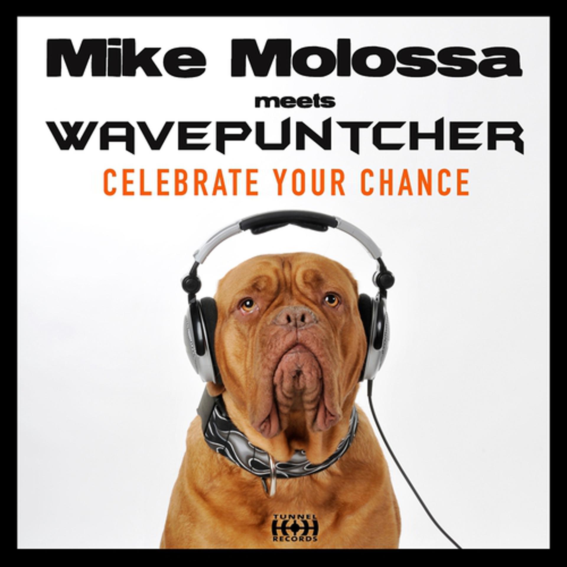 Постер альбома Celebrate Your Chance (Mike Molossa Meets Wavepuntcher)