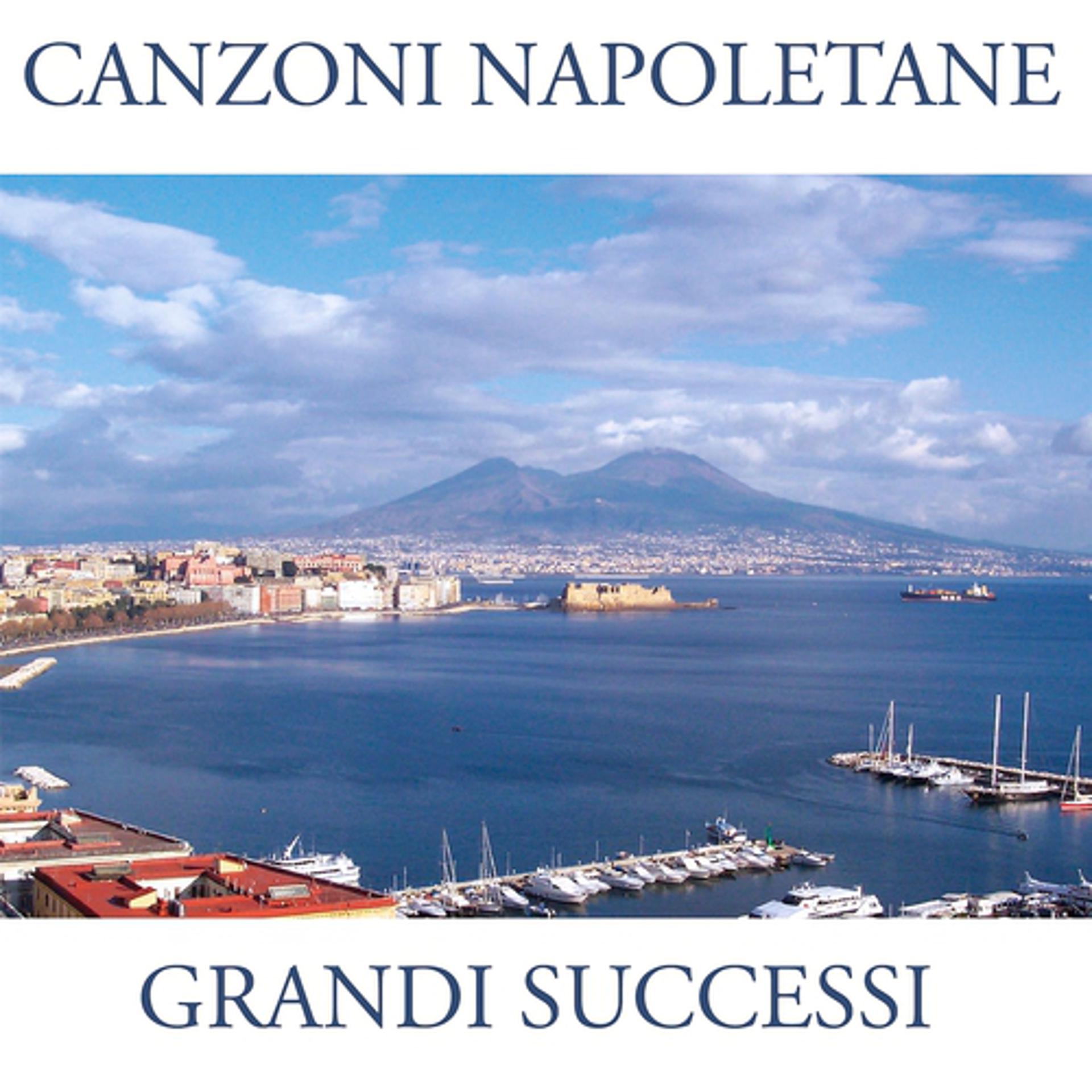 Постер альбома Canzoni napoletane (Grandi successi)