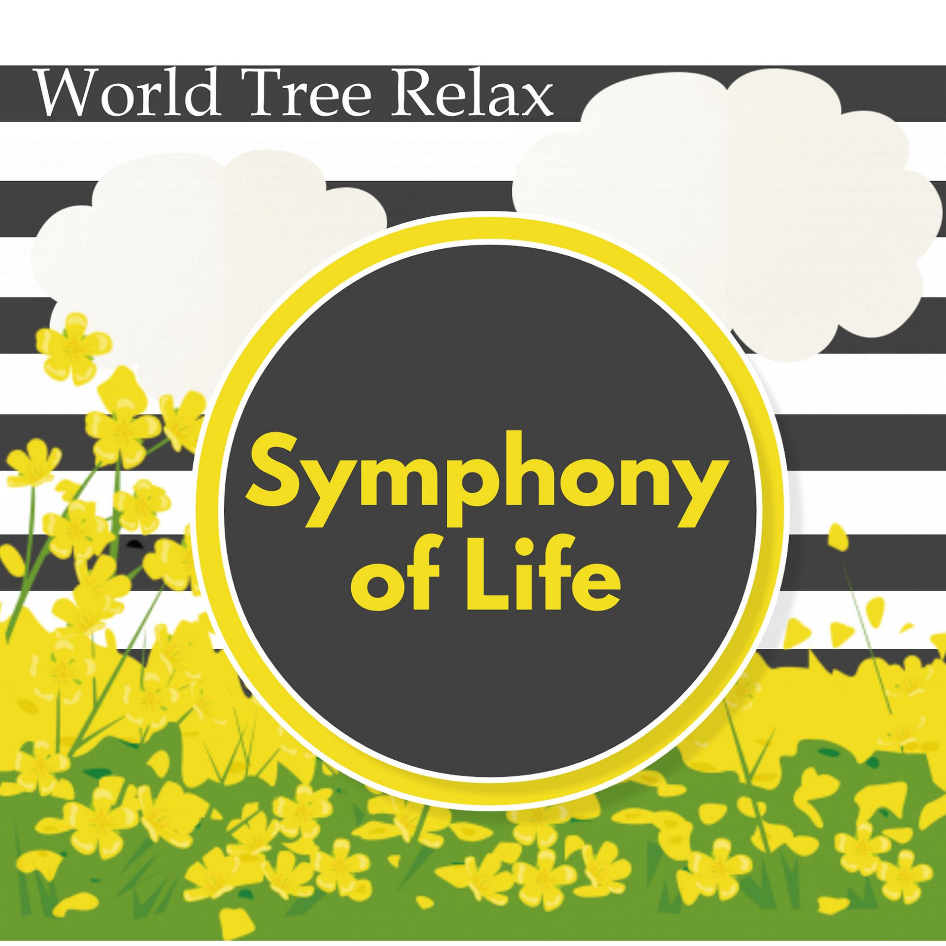 Постер альбома Symphony of Life