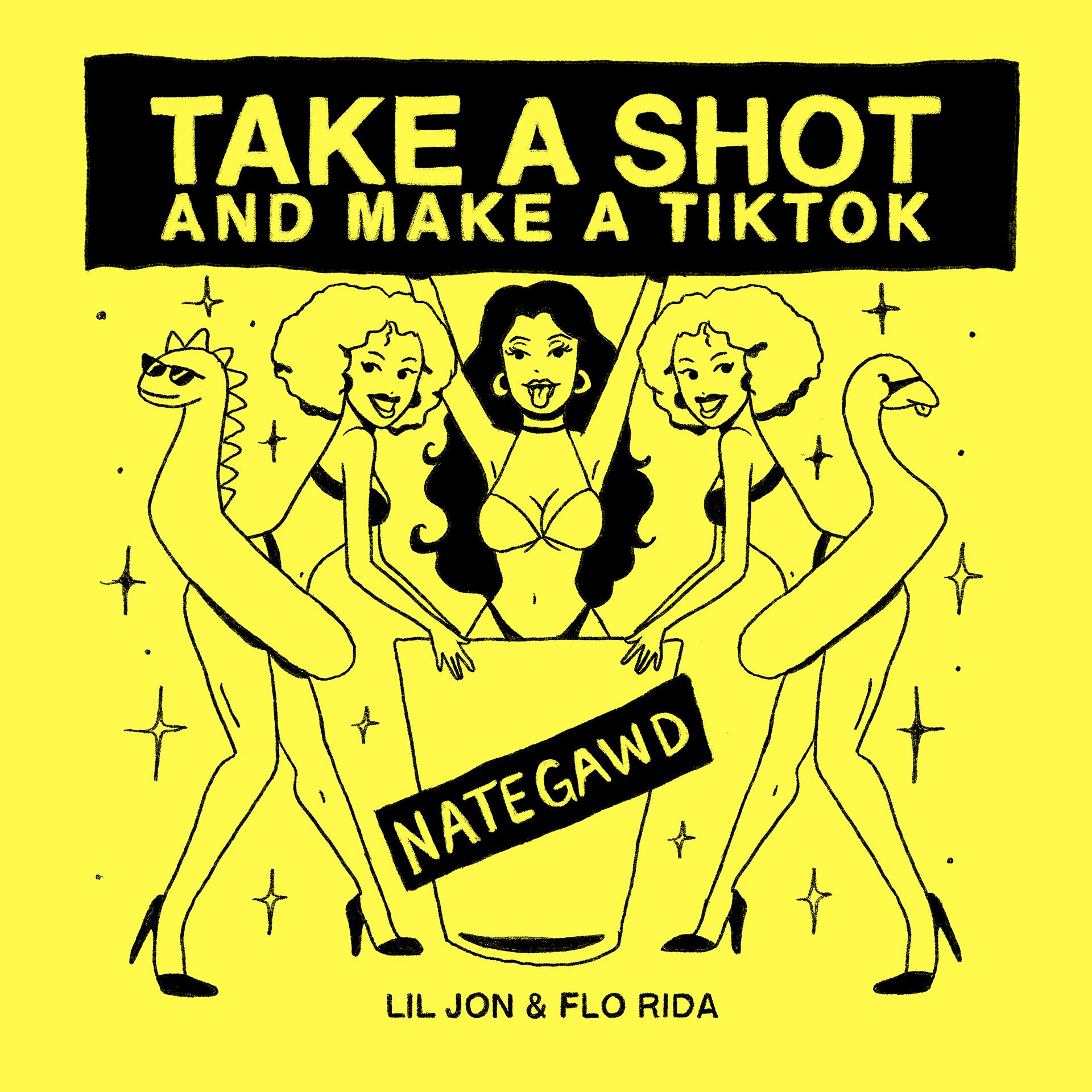 Постер альбома Take a Shot and Make a TikTok