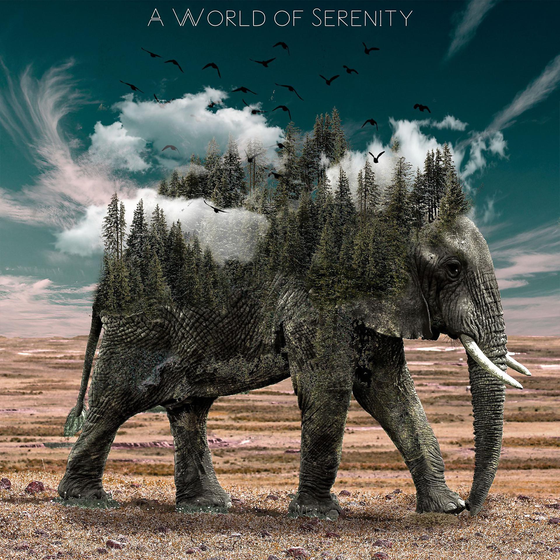 Постер альбома A World of Serenity