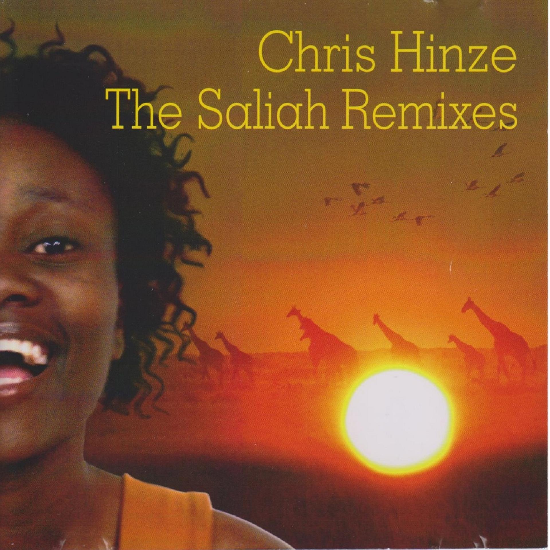 Постер альбома The Saliah Remixes