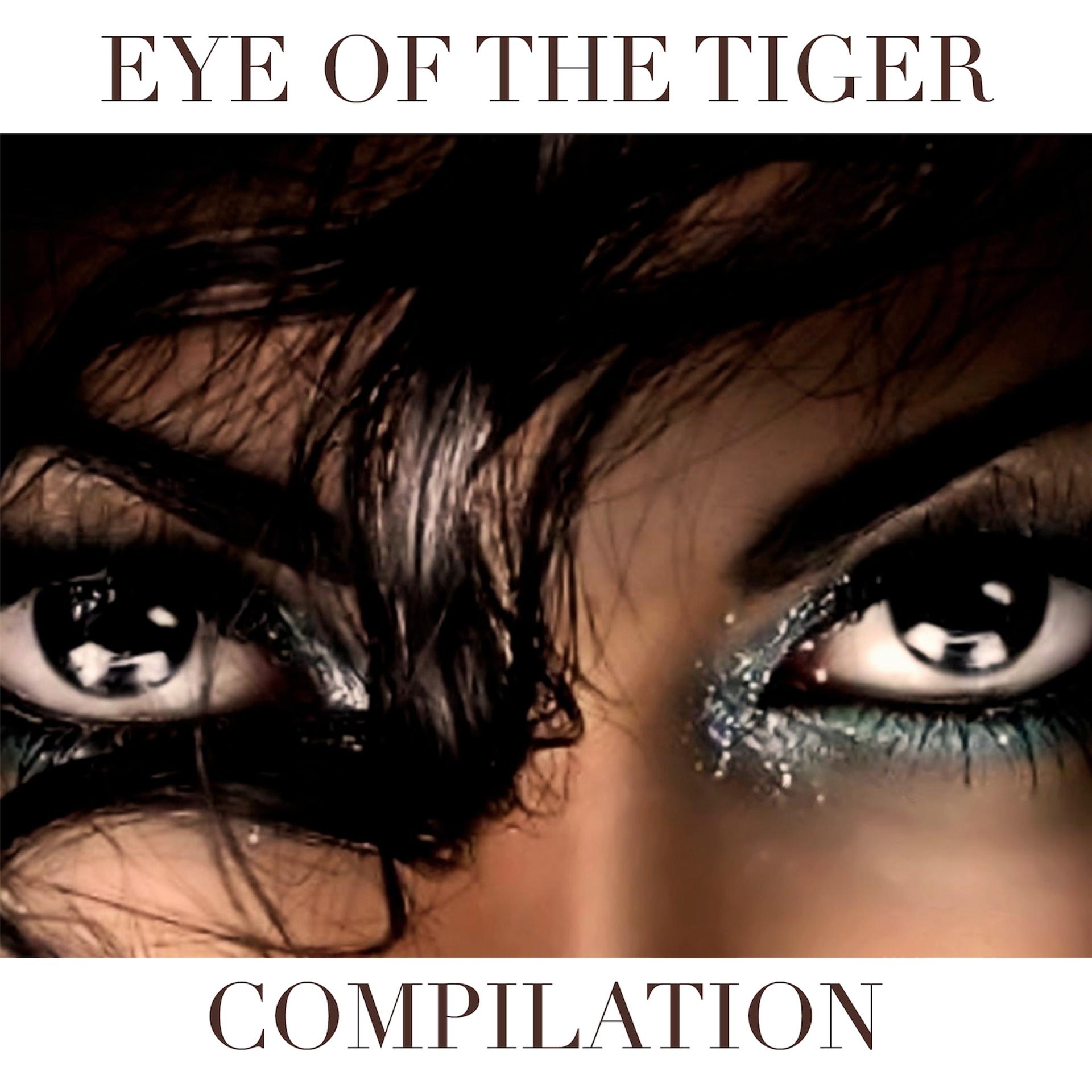 Постер альбома Eye of the Tiger Compilation
