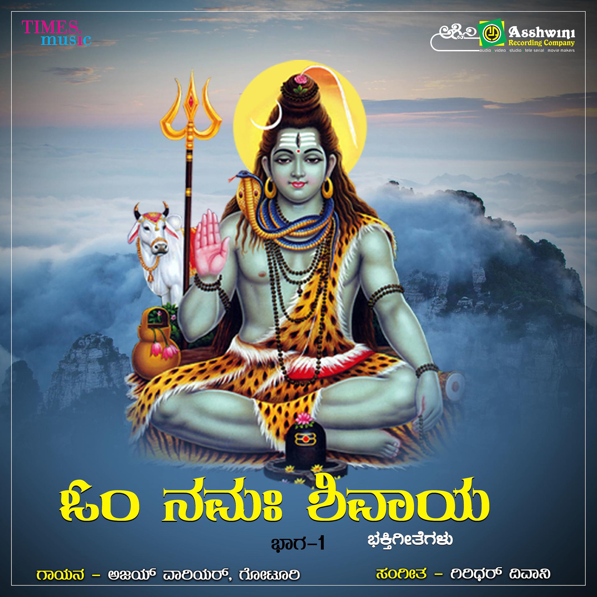 Постер альбома Om Namha Shivaya, Vol. 1