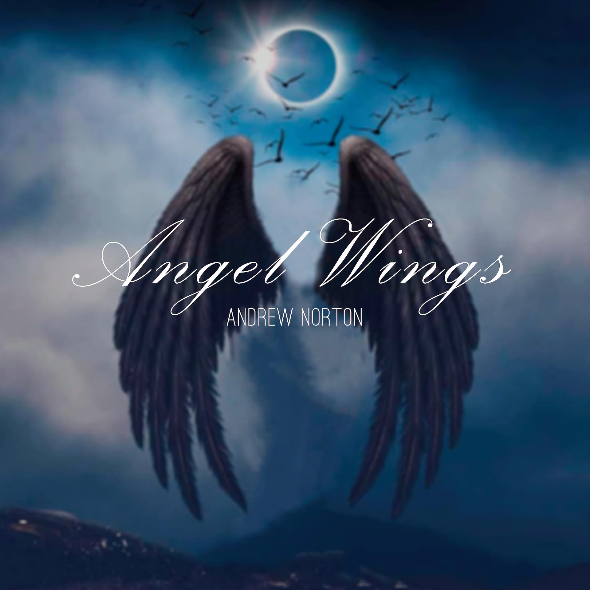 Постер альбома Angel Wings