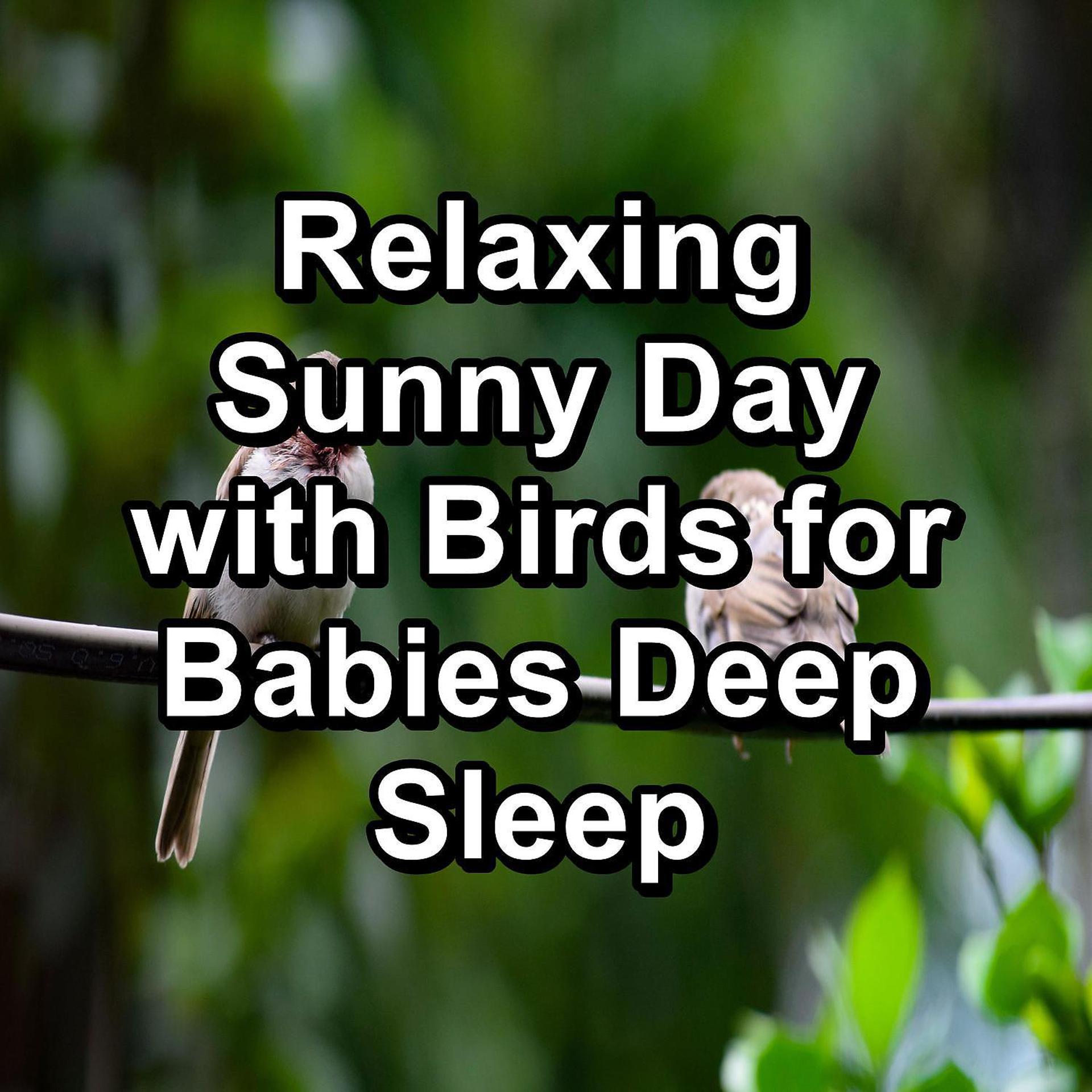 Постер альбома Relaxing Sunny Day with Birds for Babies Deep Sleep