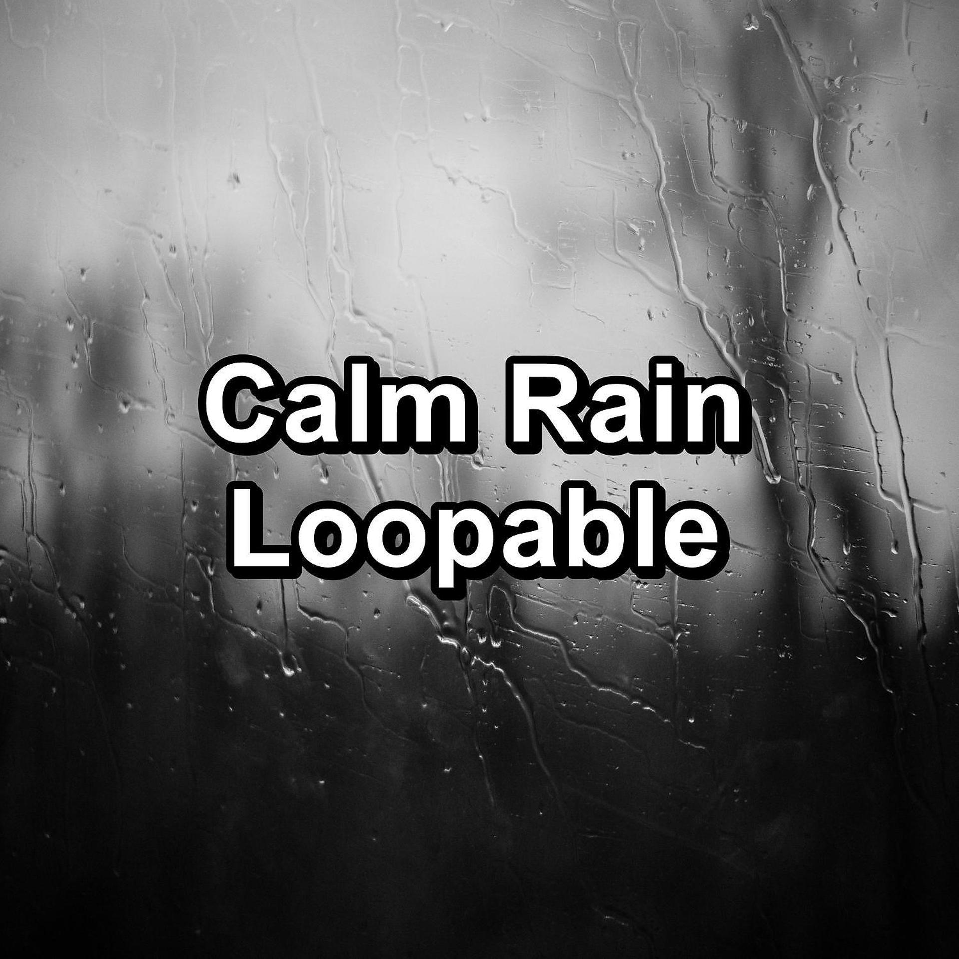 Постер альбома Calm Rain Loopable