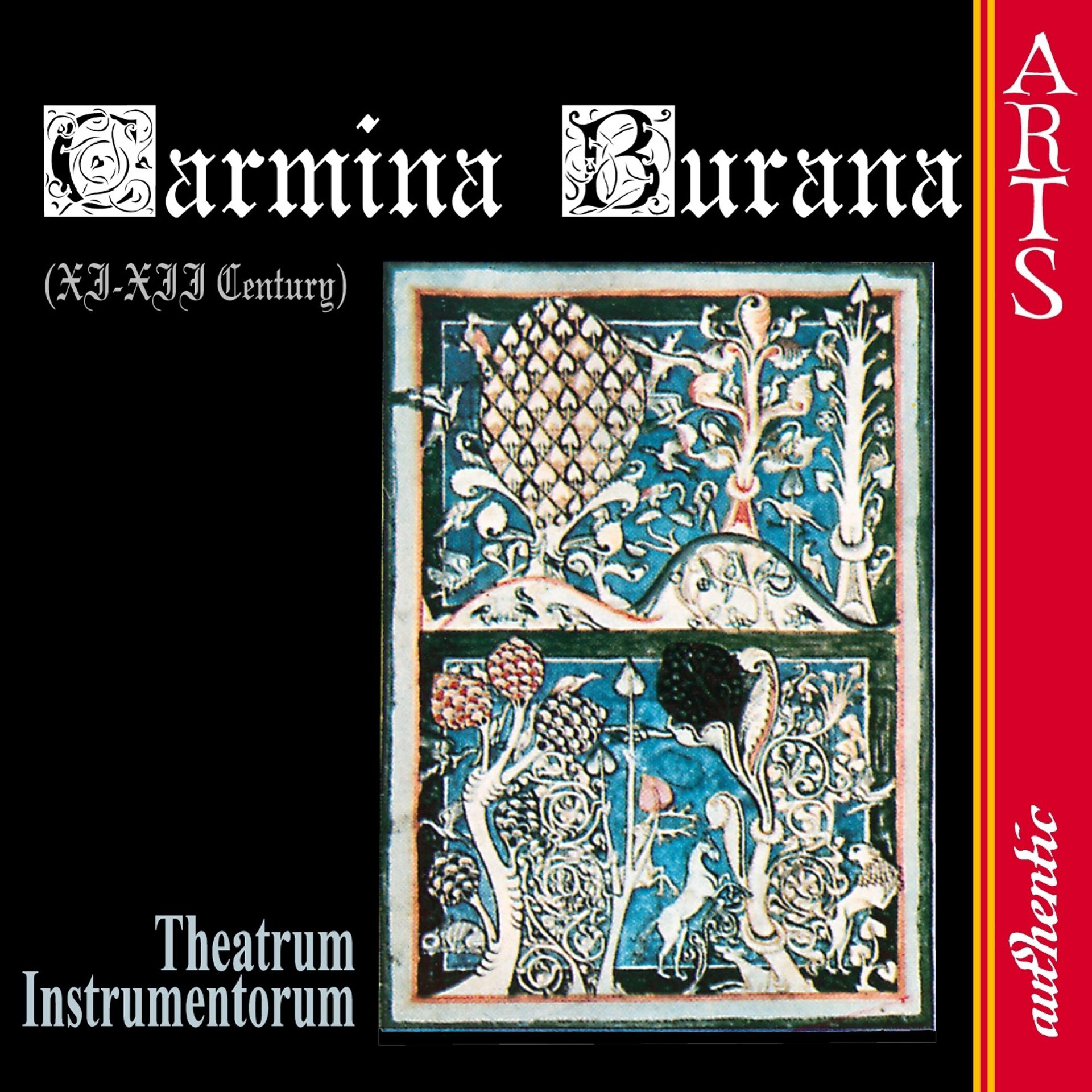 Постер альбома Anonymous: Carmina Burana