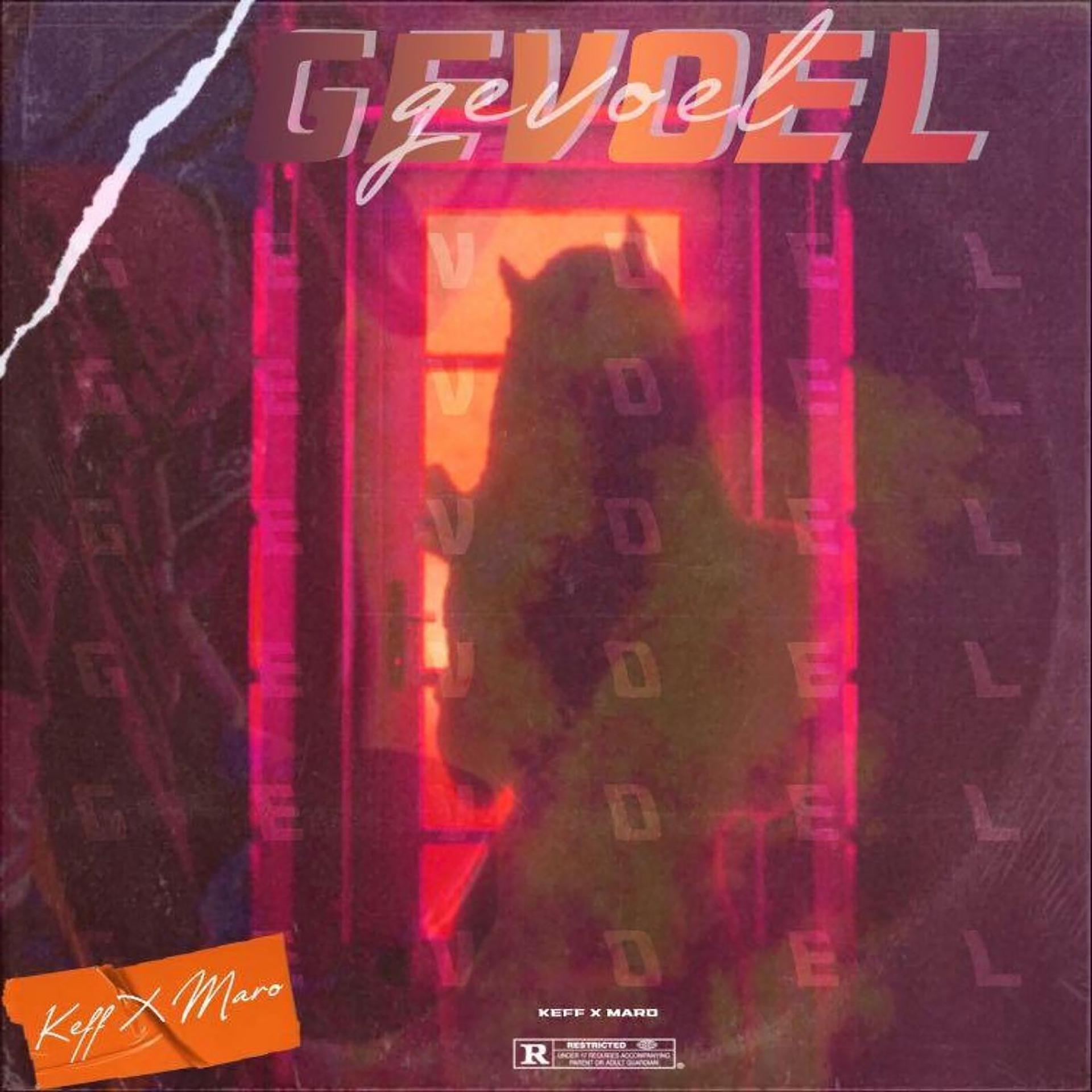 Постер альбома Gevoel