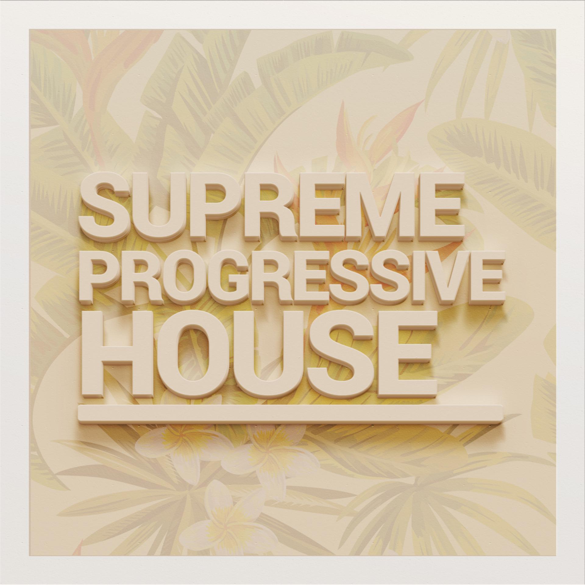 Постер альбома Supreme Progressive House