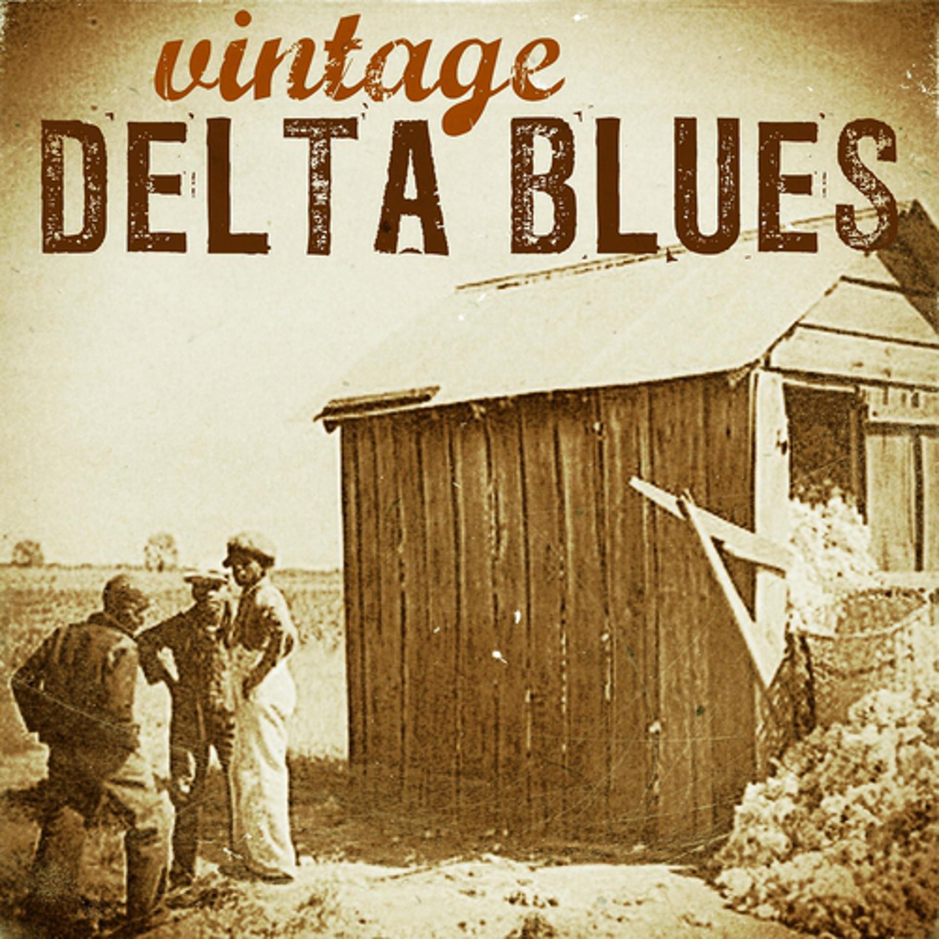 Постер альбома Vintage Delta Blues