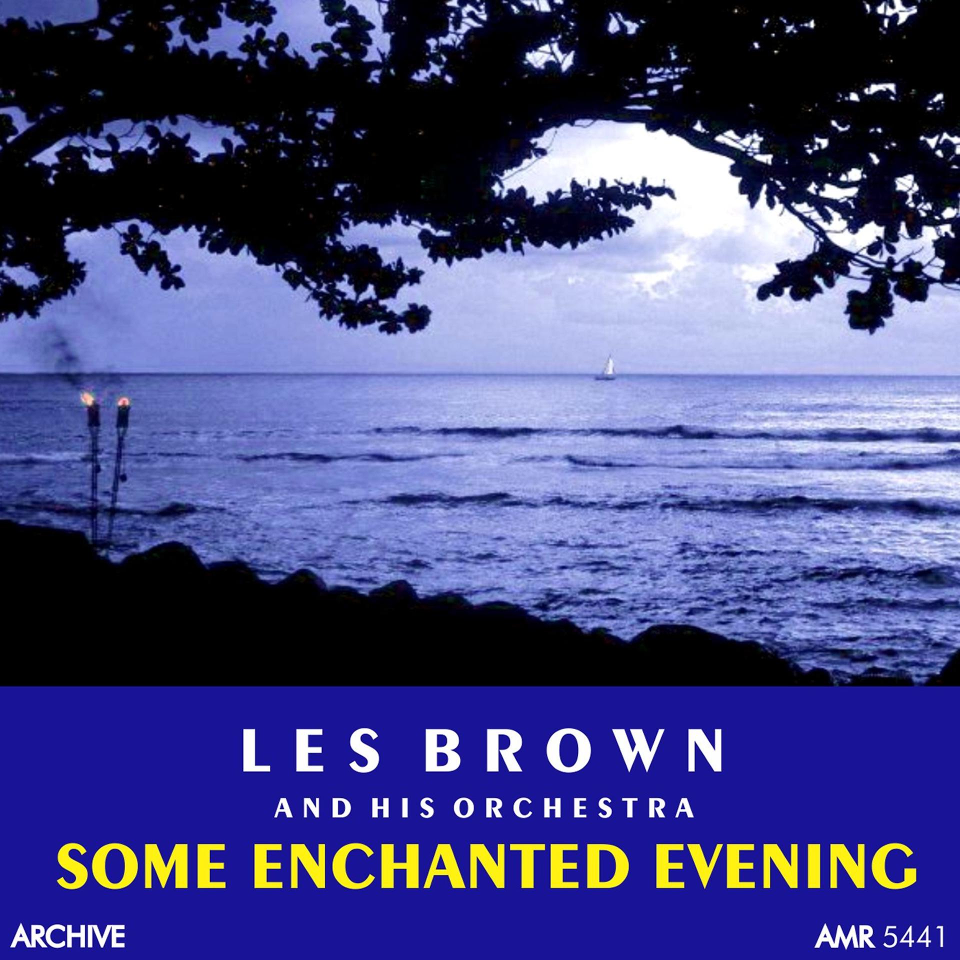 Постер альбома Some Enchanted Evening