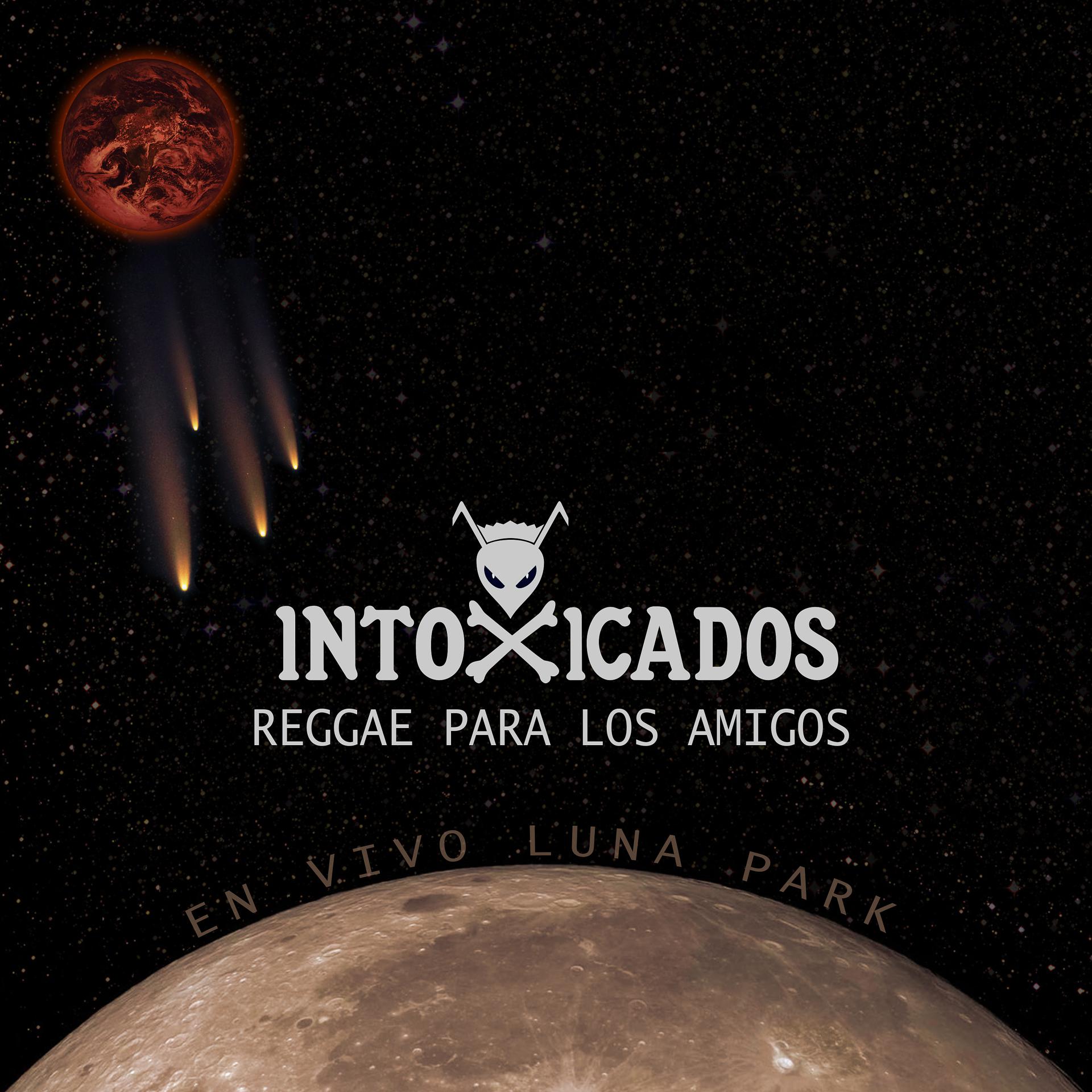 Постер альбома Reggae para los Amigos (En Vivo Luna Park)