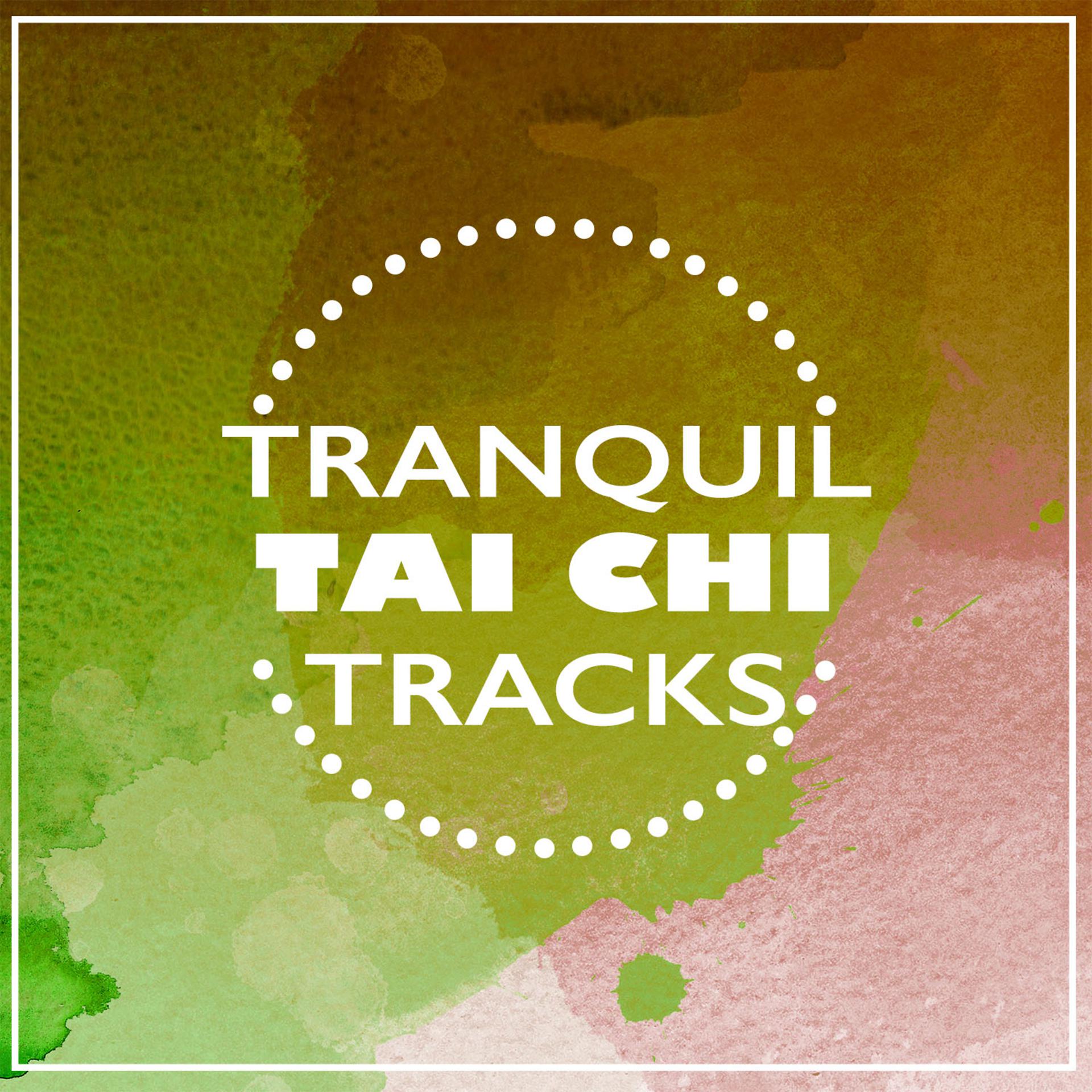 Постер альбома Tranquil Tai Chi Tracks