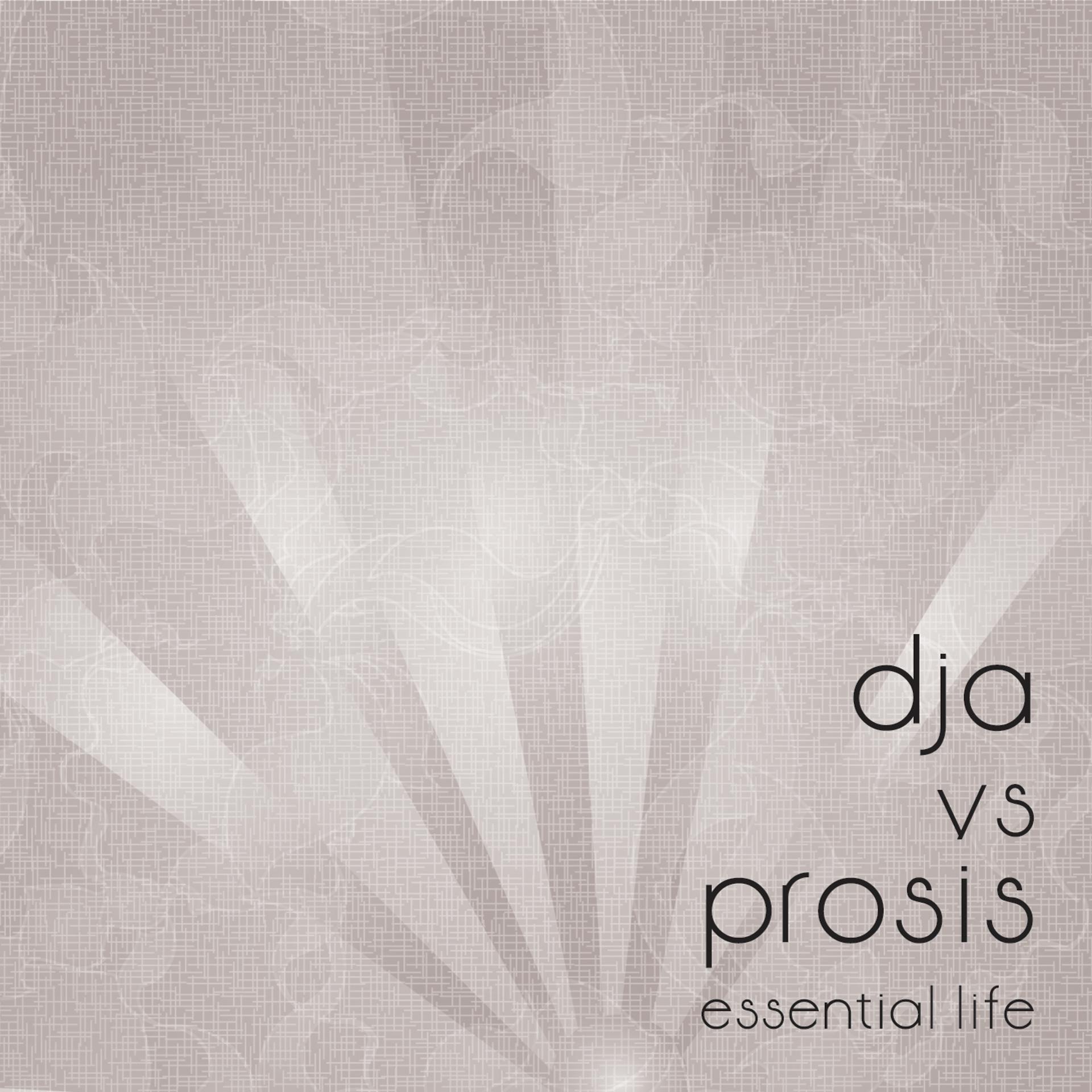 Постер альбома Essential Life