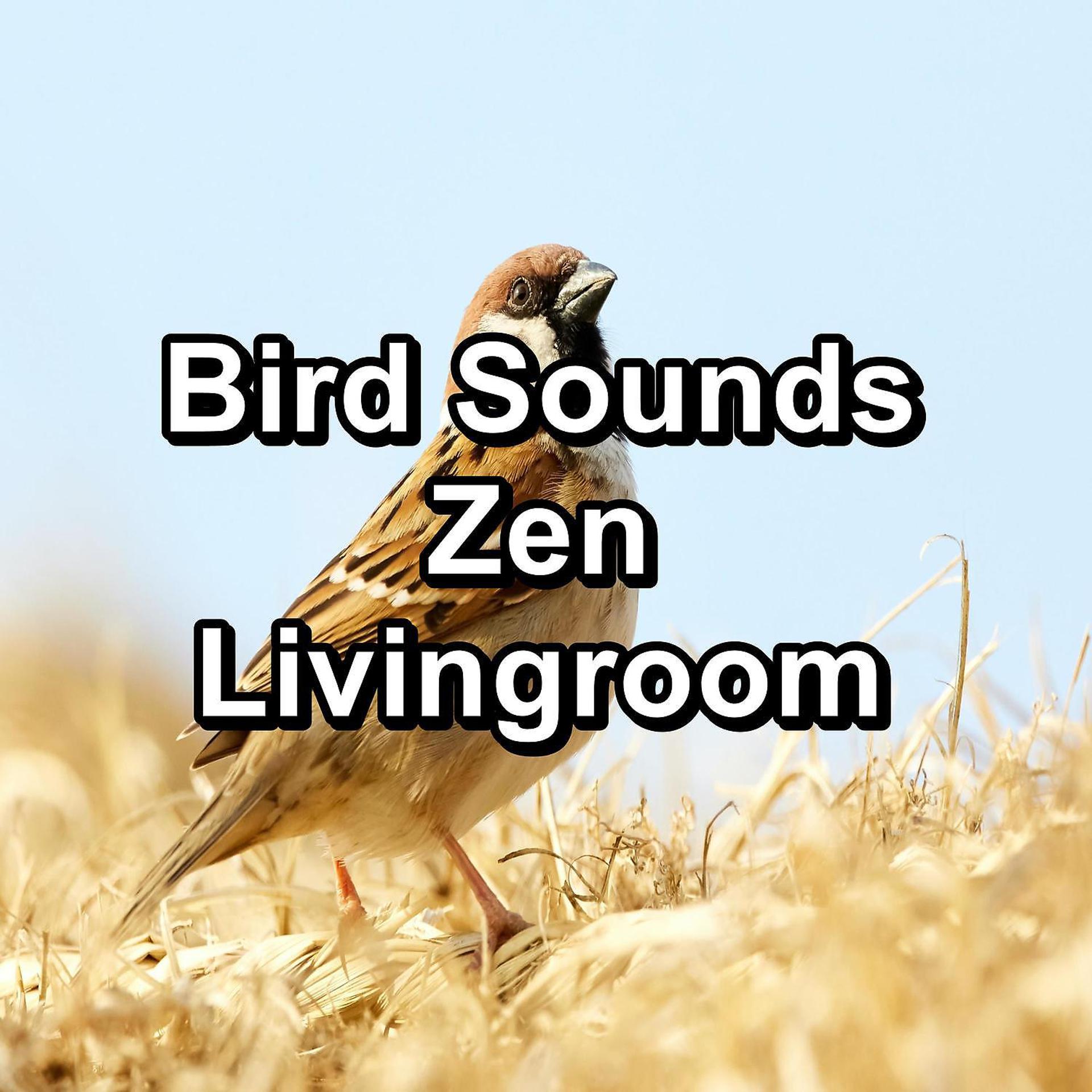 Постер альбома Bird Sounds Zen Livingroom