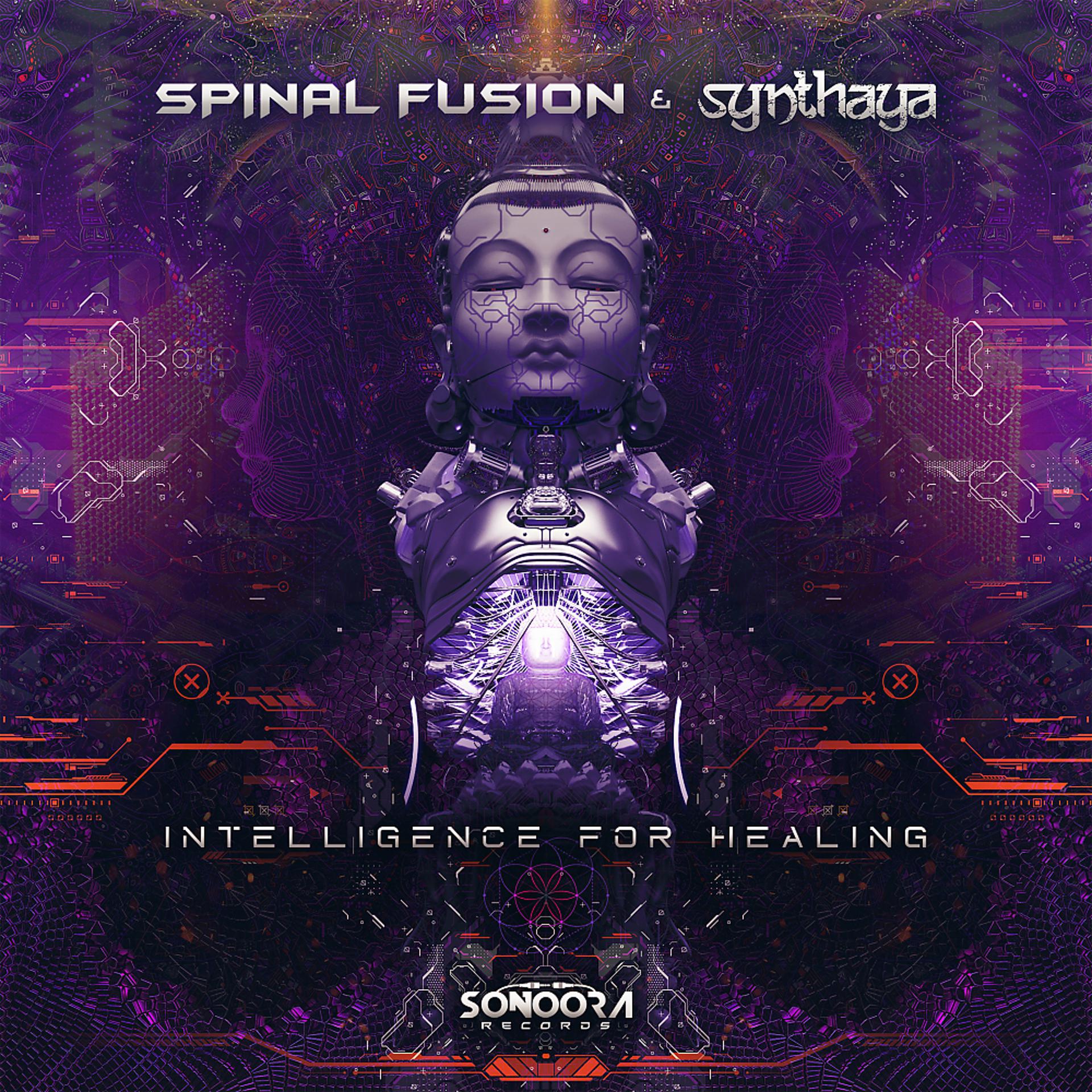 Постер альбома Intelligence For Healing