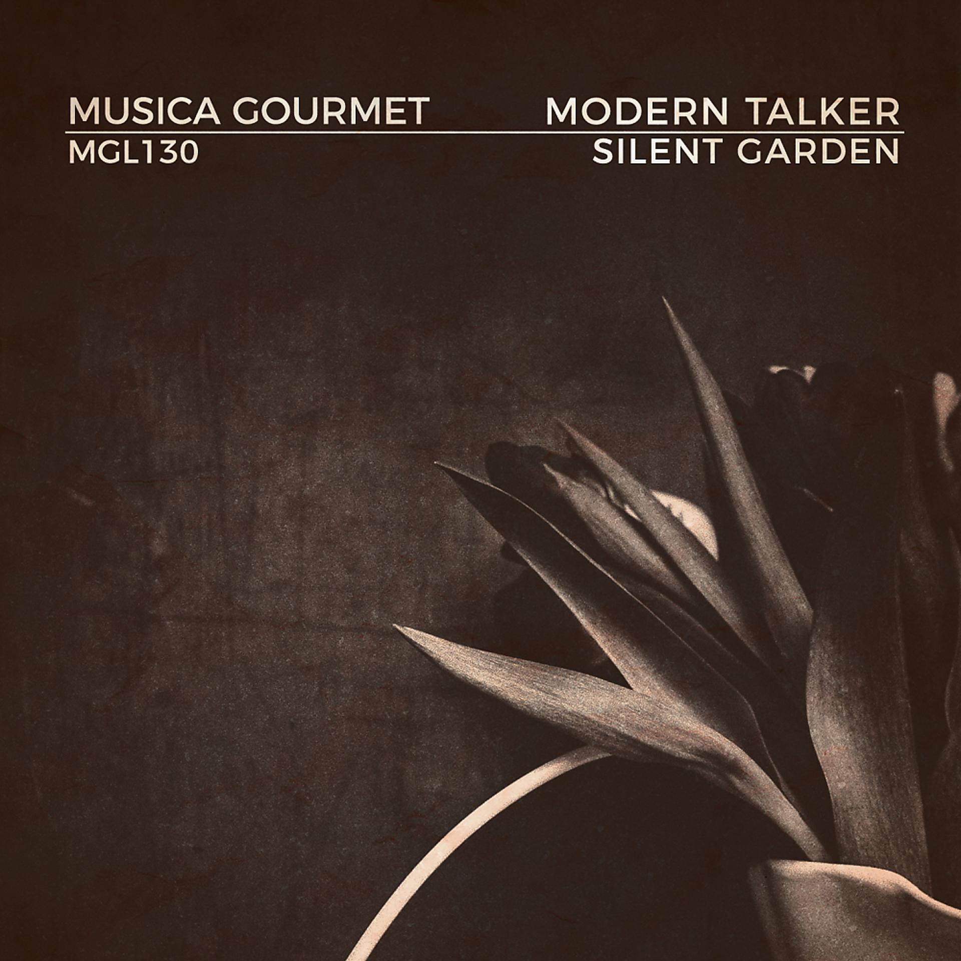 Постер альбома Silent Garden